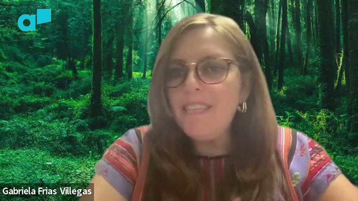 Gabriela Frías Villegas: entrevista y libros recomendados