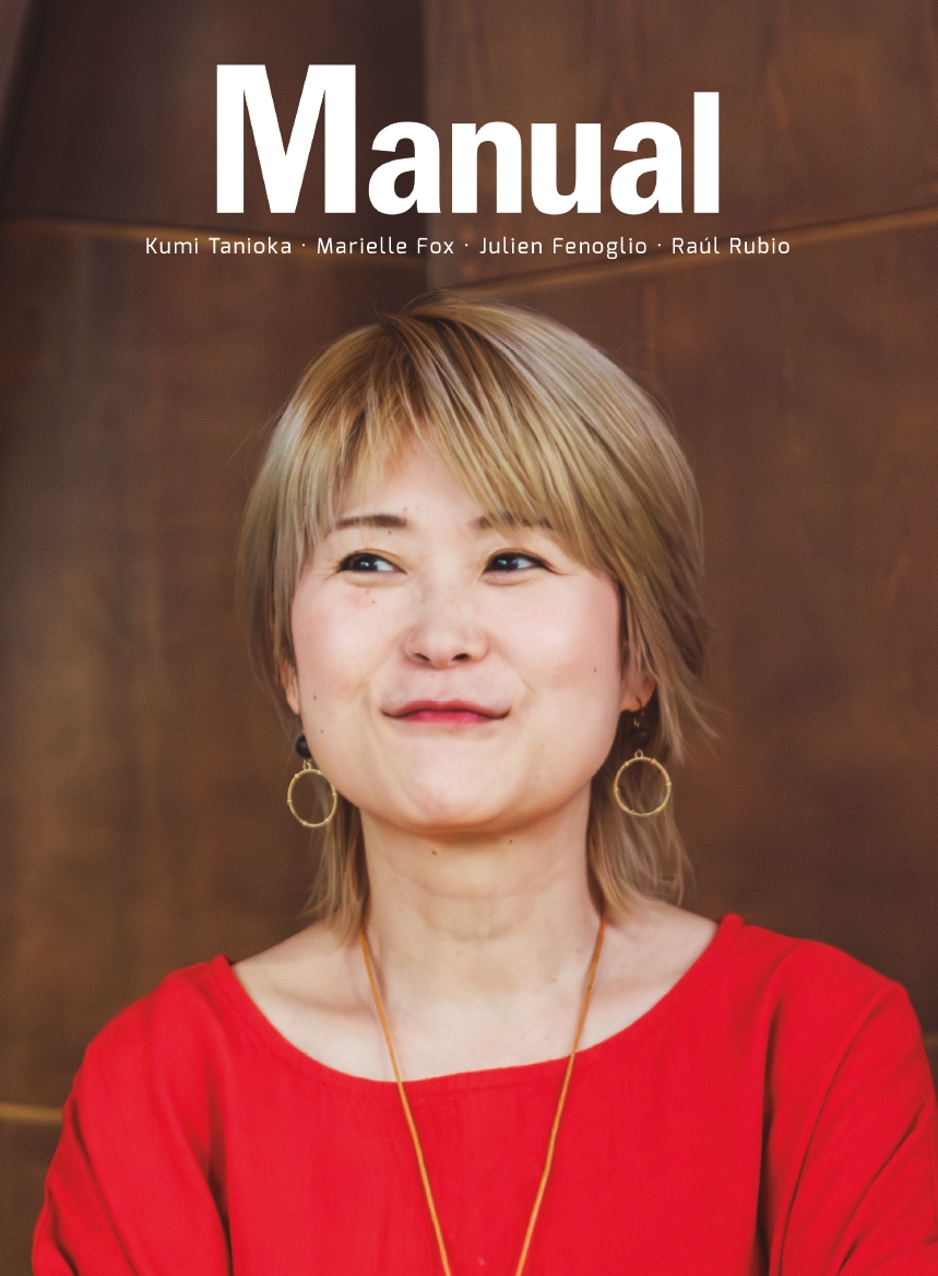 REVISTA MANUAL. 12