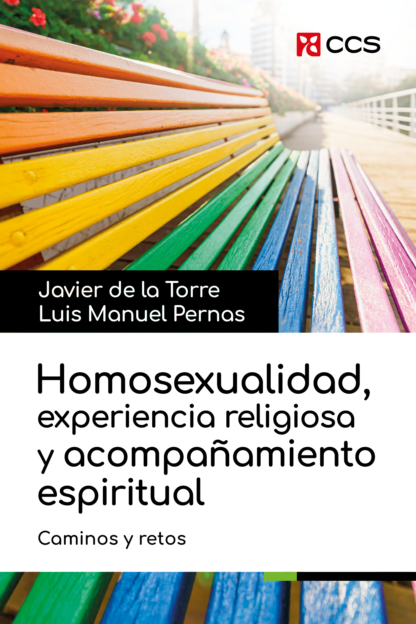 Homosexualidad, experiencia religiosa y acompañamiento espiritual