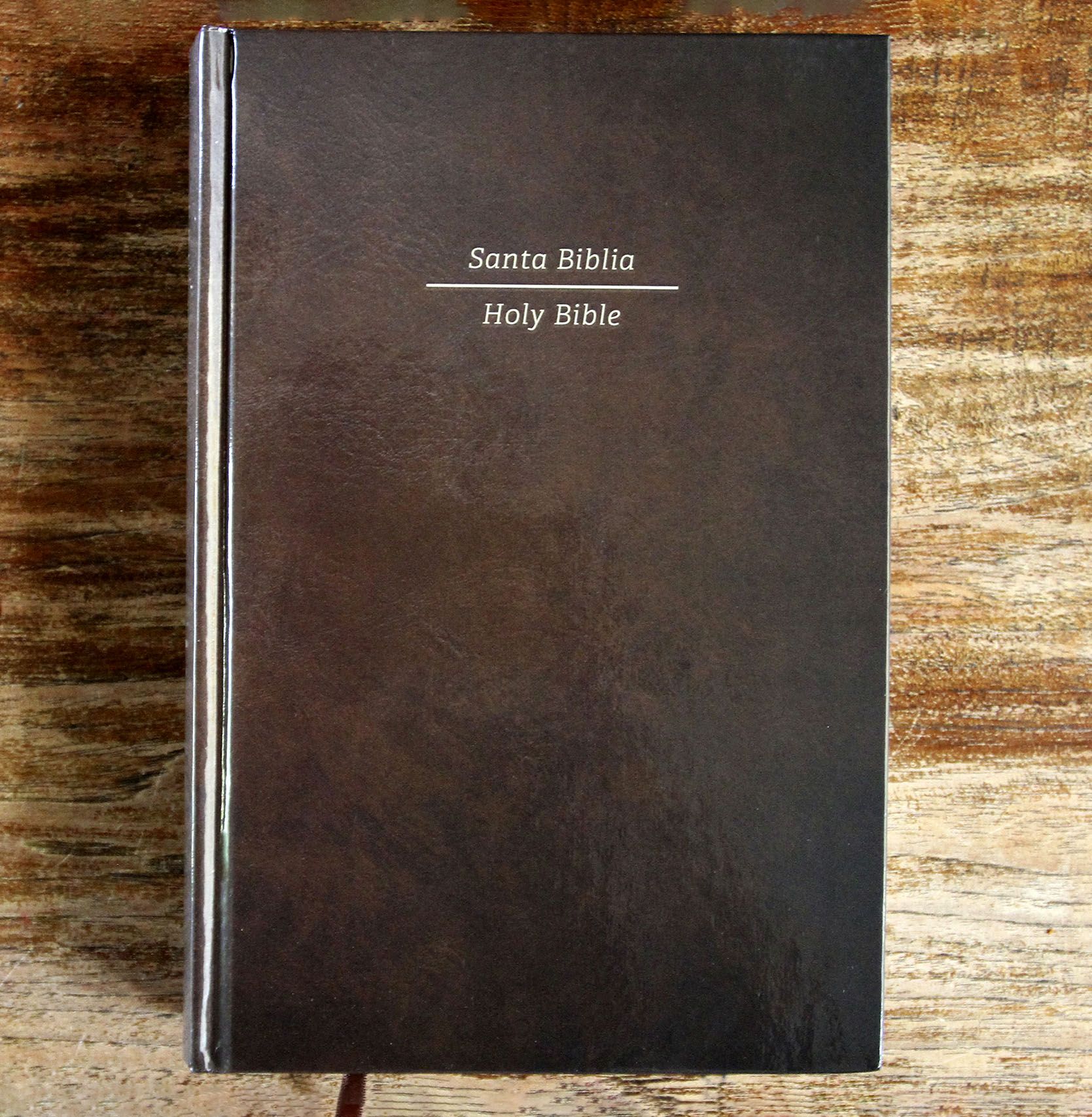 Biblia Bilingüe Reina Valera Revisada 1960