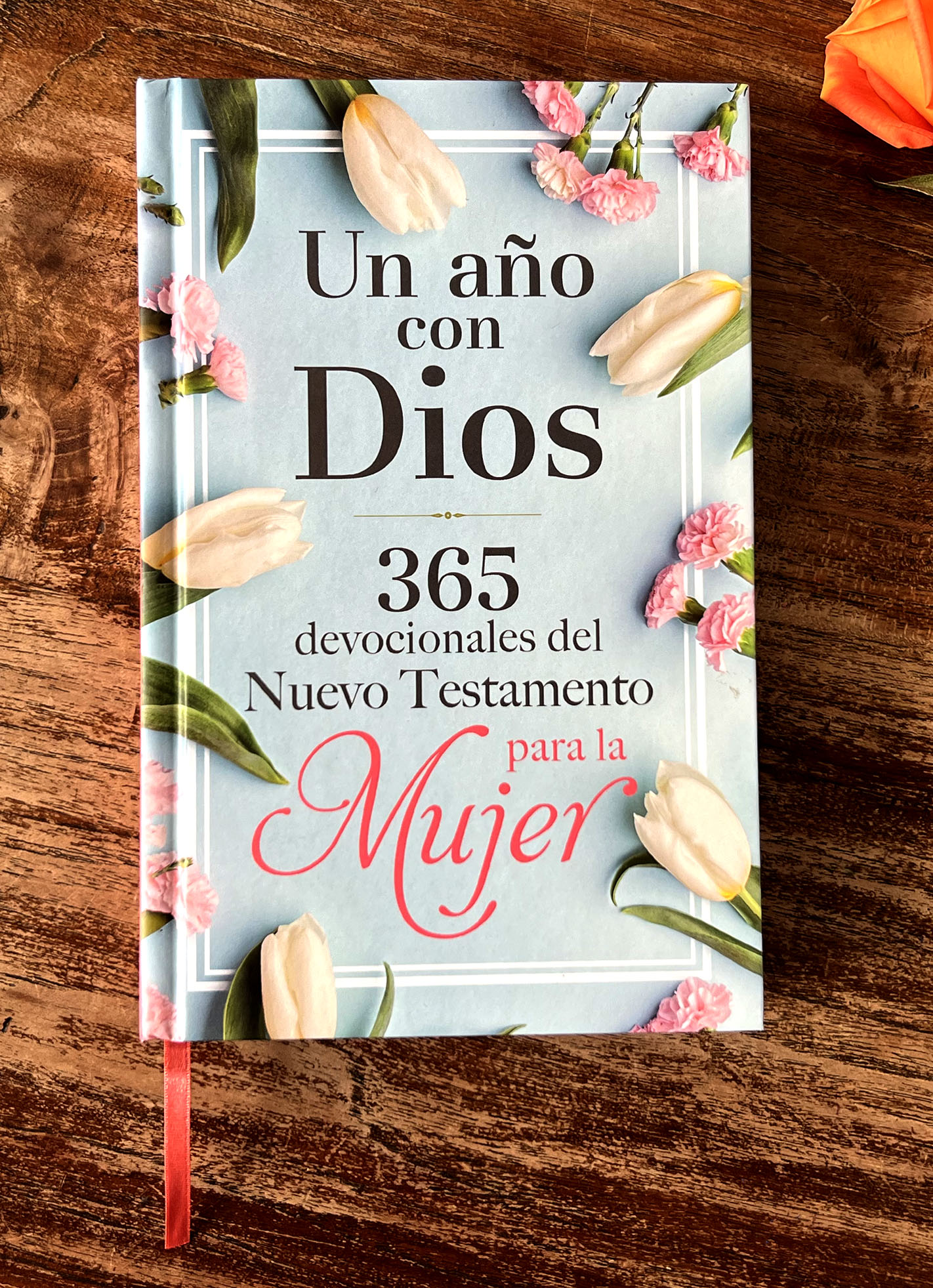 Un año con Dios en el Nuevo Testamento