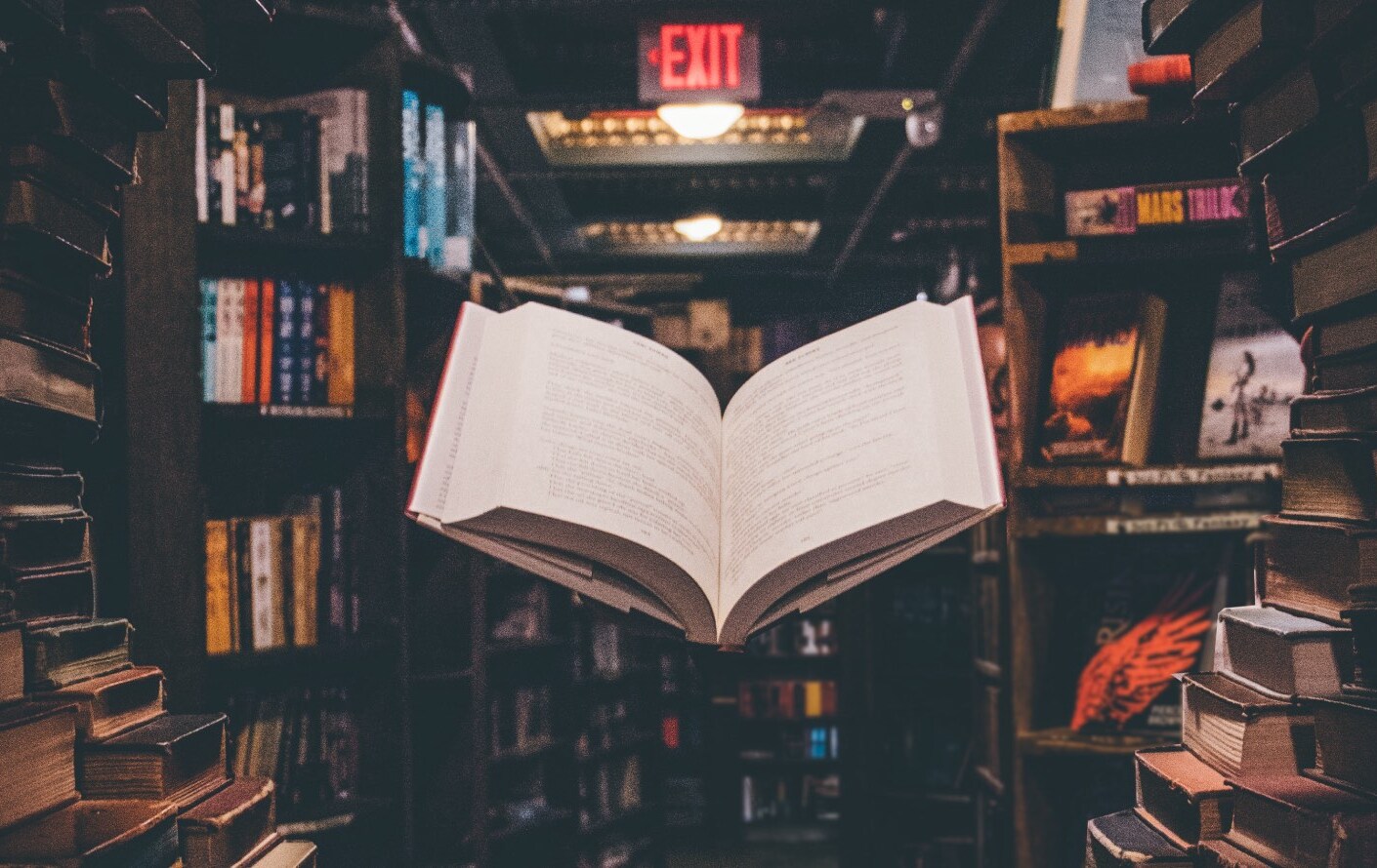 Stephen King te pondrá los pelos de punta.