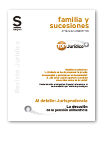 La ejecución de la pensión alimenticia