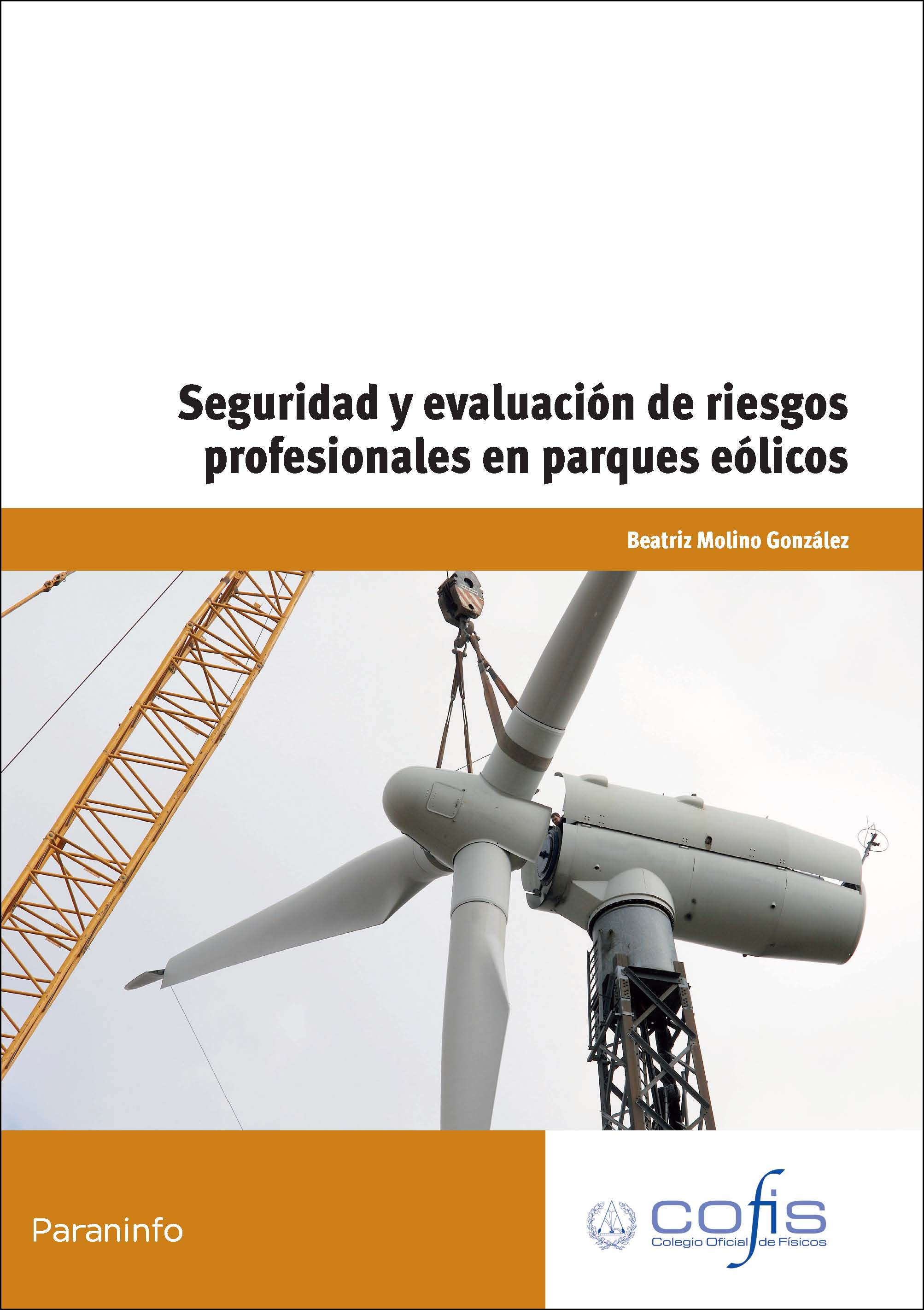 Seguridad y evaluación de riesgos profesionales en parques eólicos