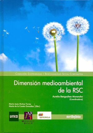 Dimensión medioambiental de la RSC