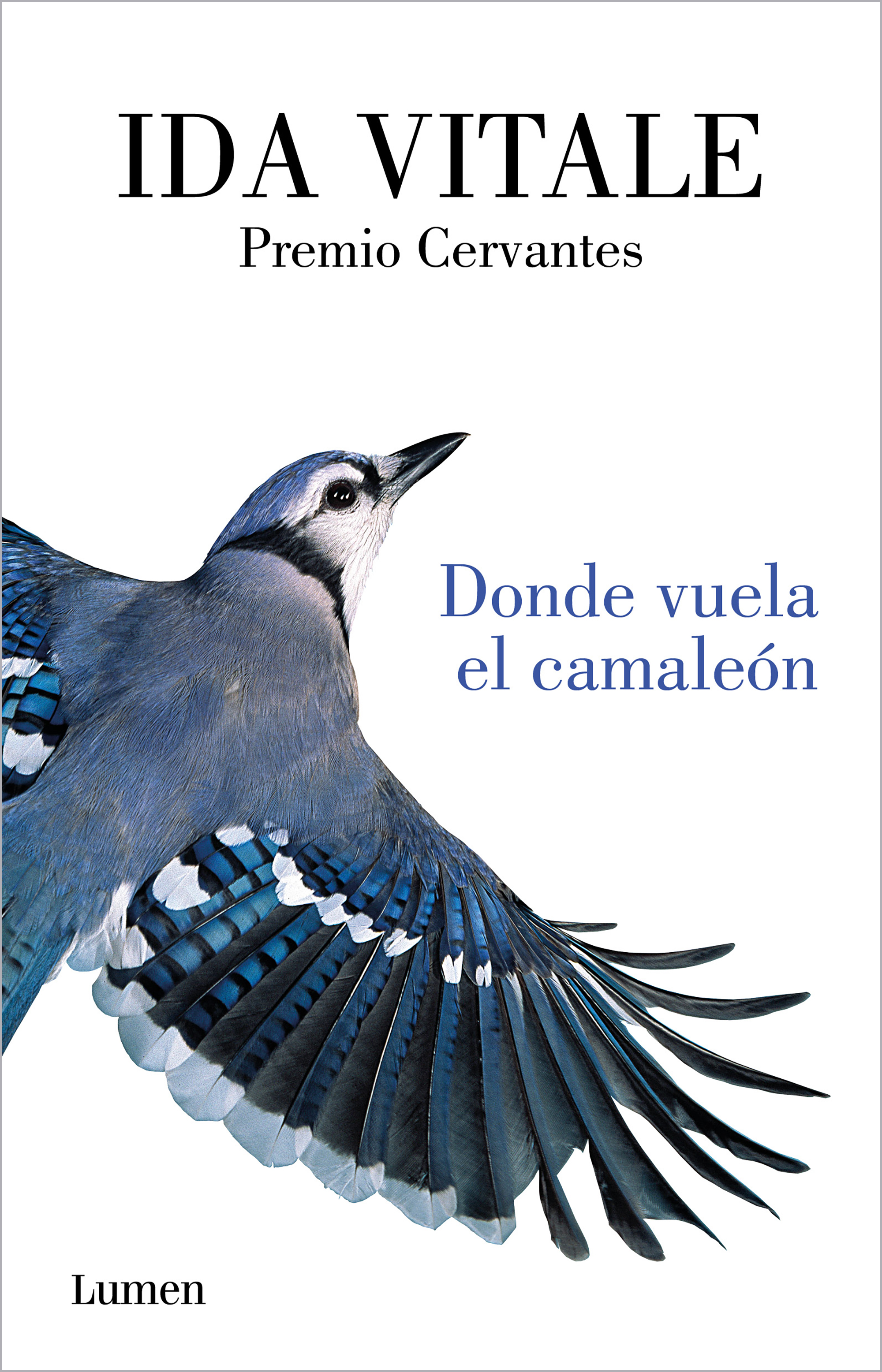 Donde vuela el camaleón