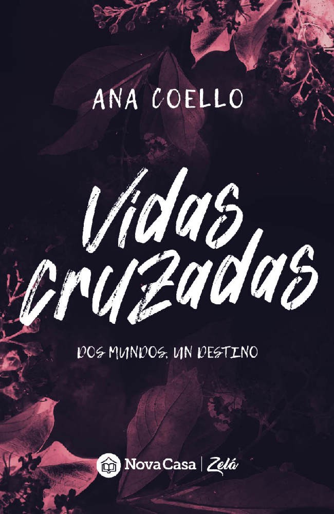 Vidas Cruzadas