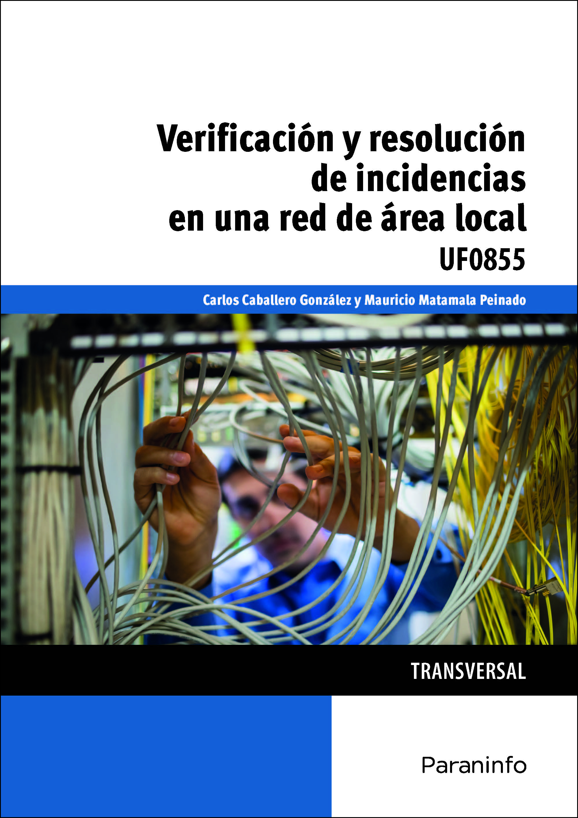 Verificación y resolución de incidencias en una red de área local
