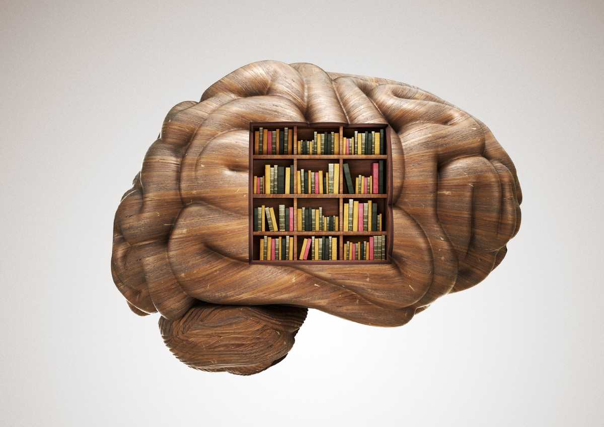Libros para mantener tu cerebro en forma