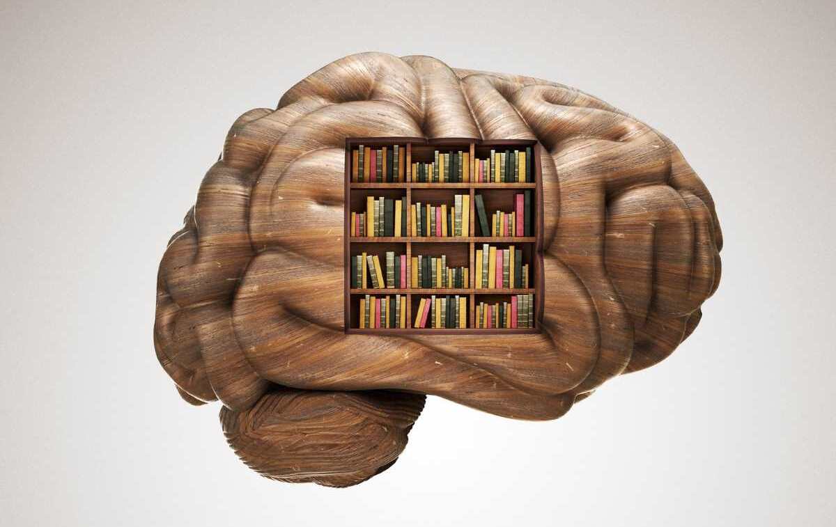 Libros para mantener tu cerebro en forma.