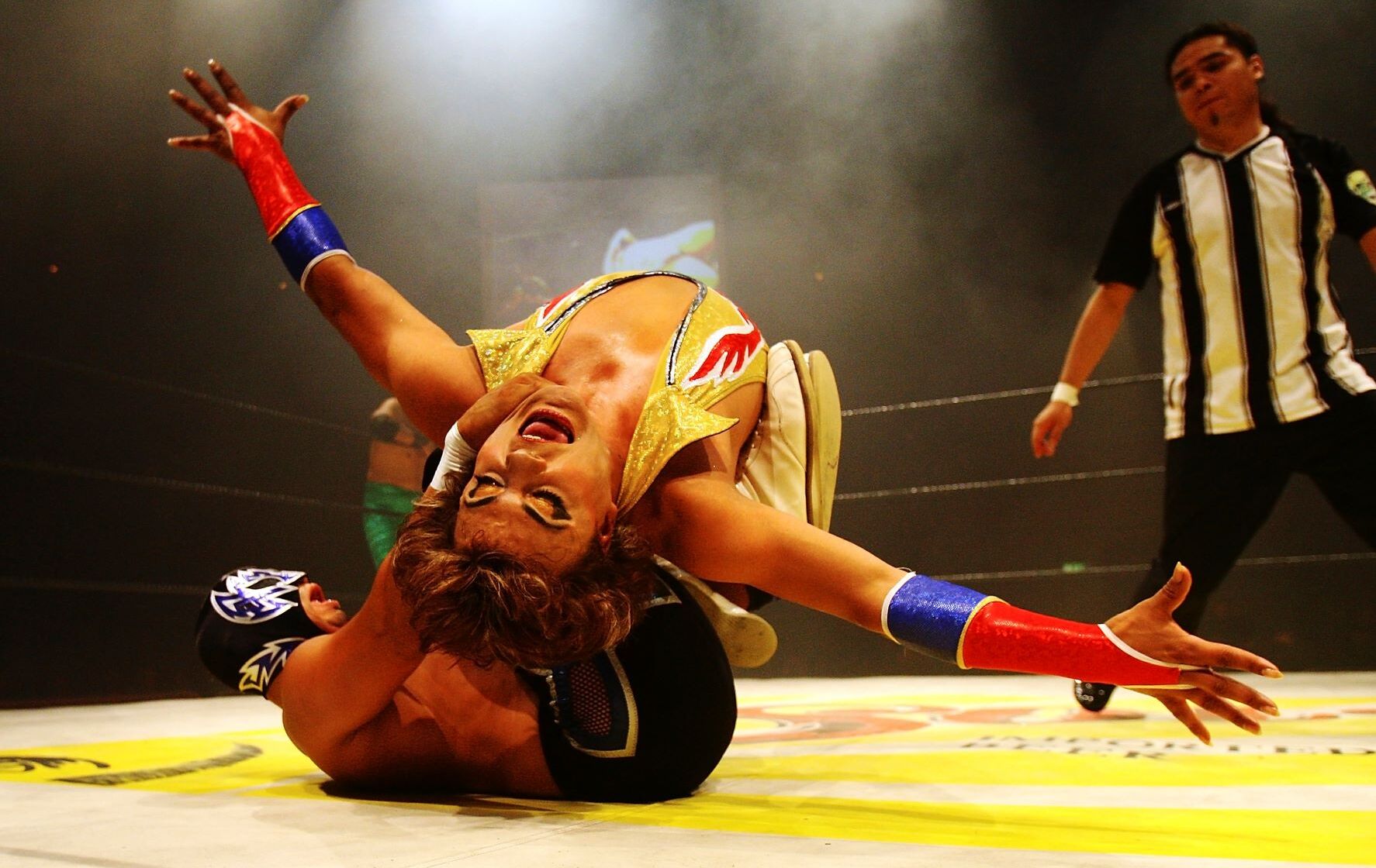 Los mejores libros sobre lucha libre