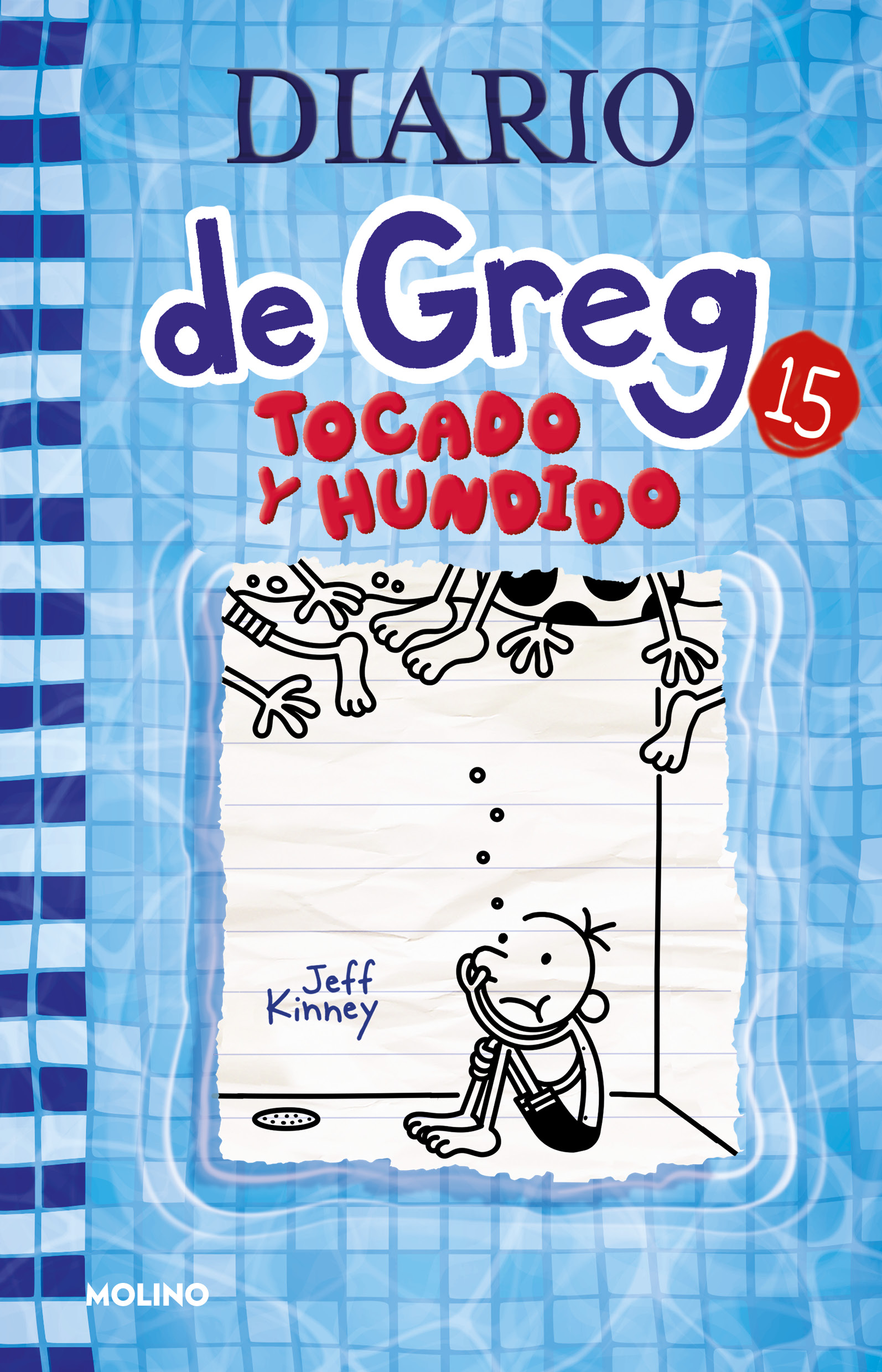 15 - Tocado y hundido
