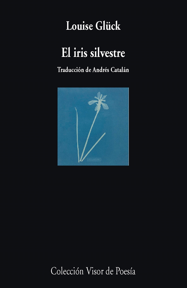 El iris silvestre