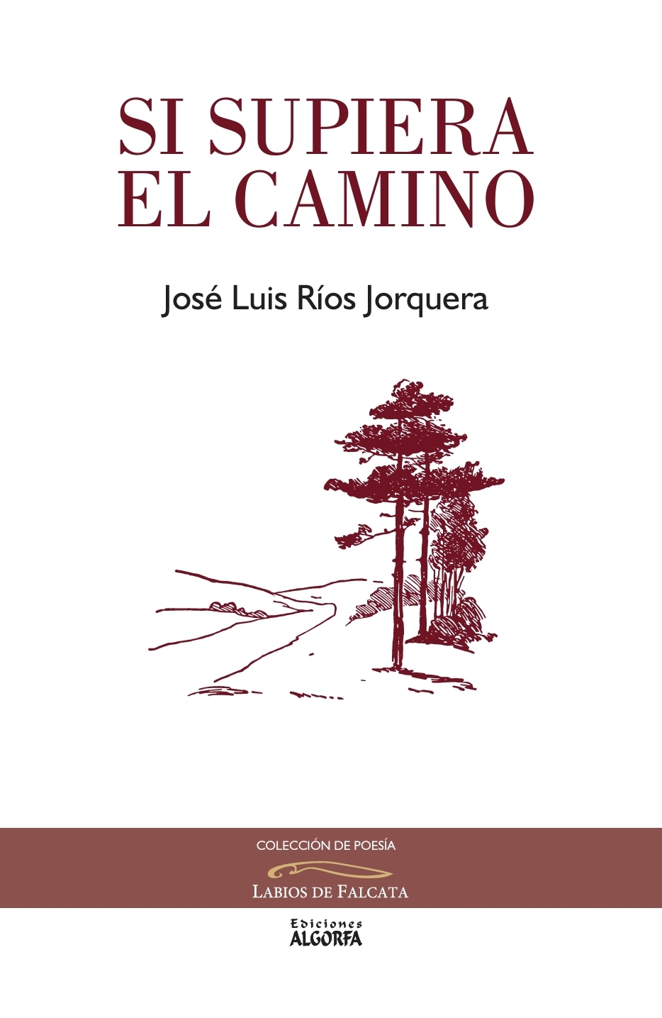 Si supiera el camino