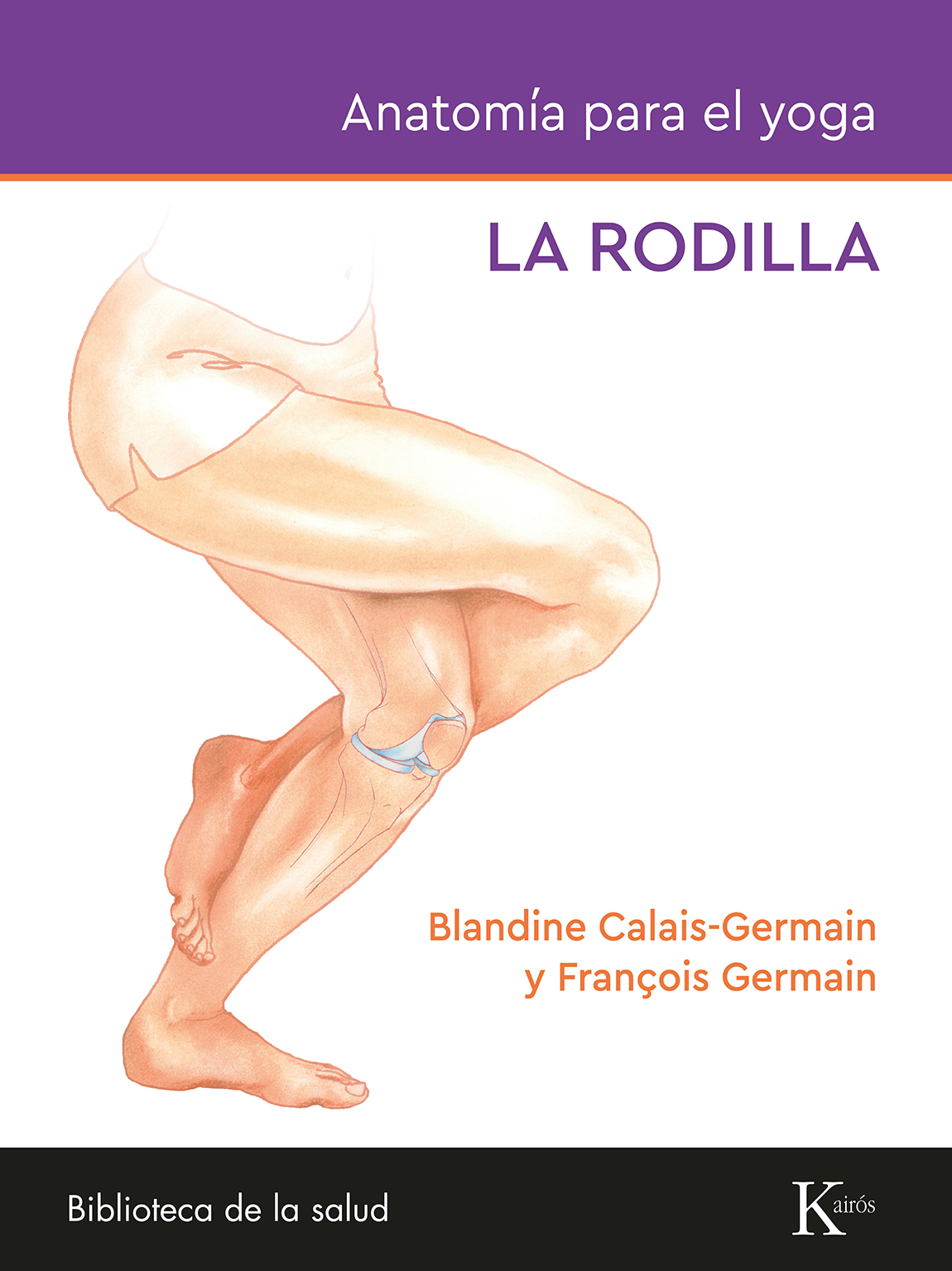 Anatomía para el yoga: La rodilla