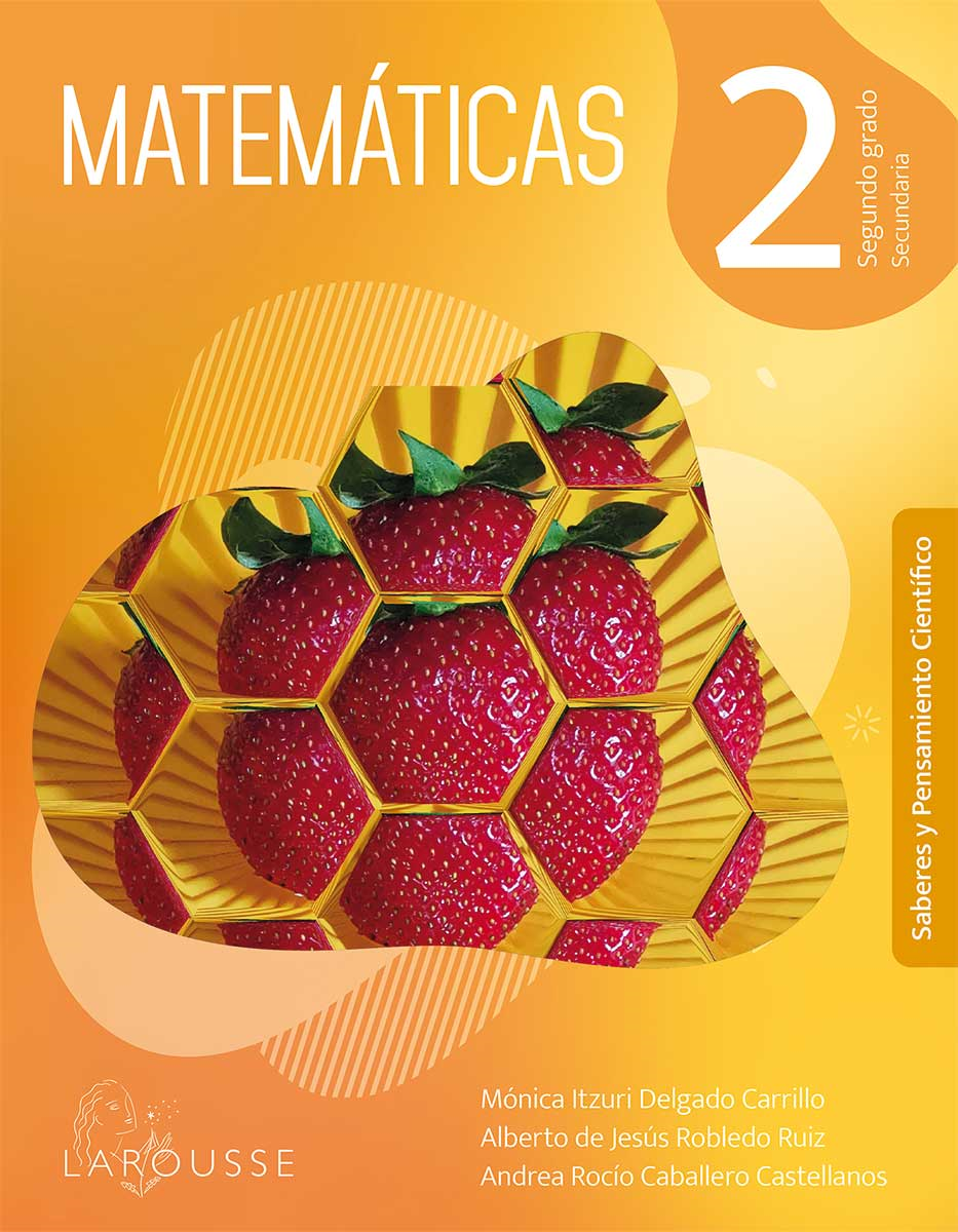 Matemáticas 2 NEM