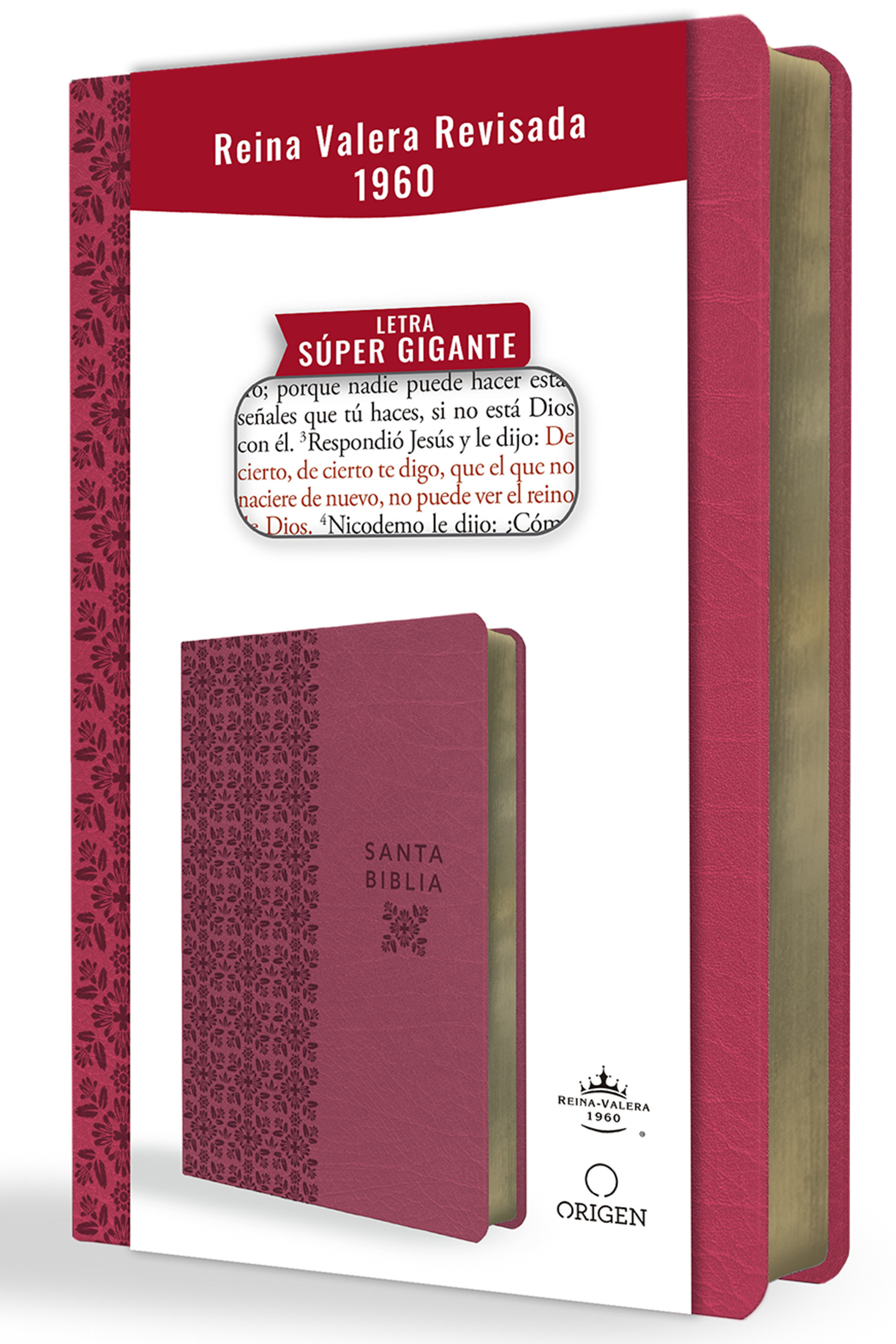 Biblia Reina Valera Revisada 1960 letra súper gigante, símil piel fucsia rosada