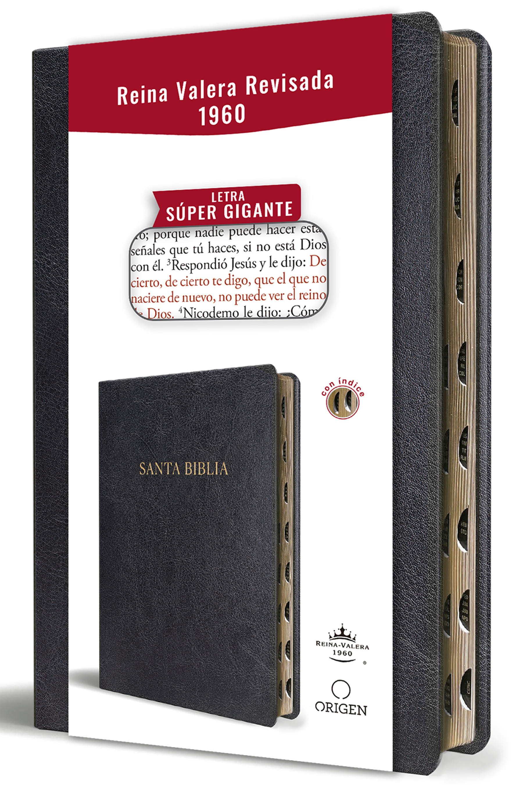 Biblia Reina Valera Revisada 1960 letra súper gigante, símil piel negro con índice