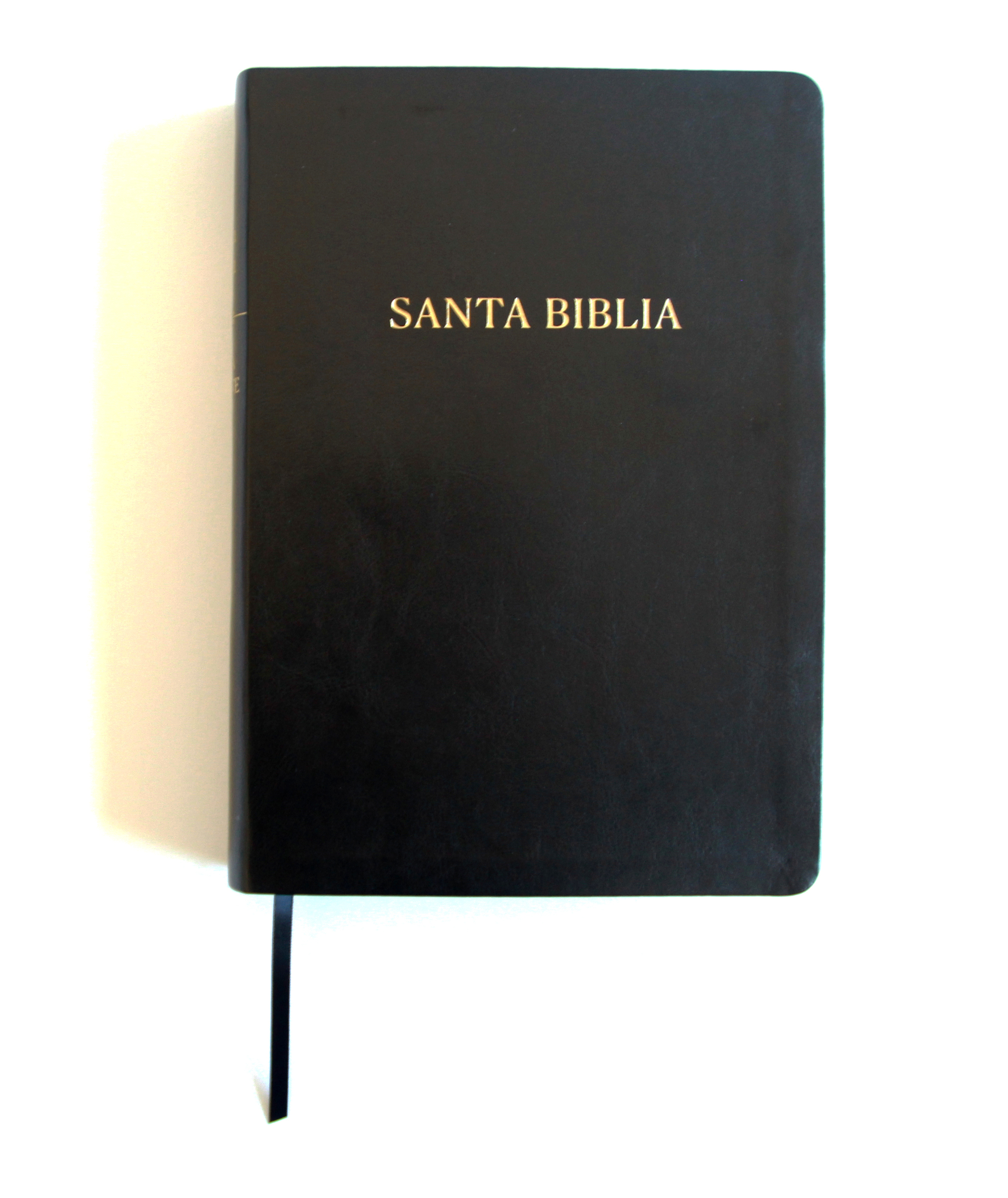 Biblia Reina Valera Revisada 1960 letra súper gigante, símil piel negro