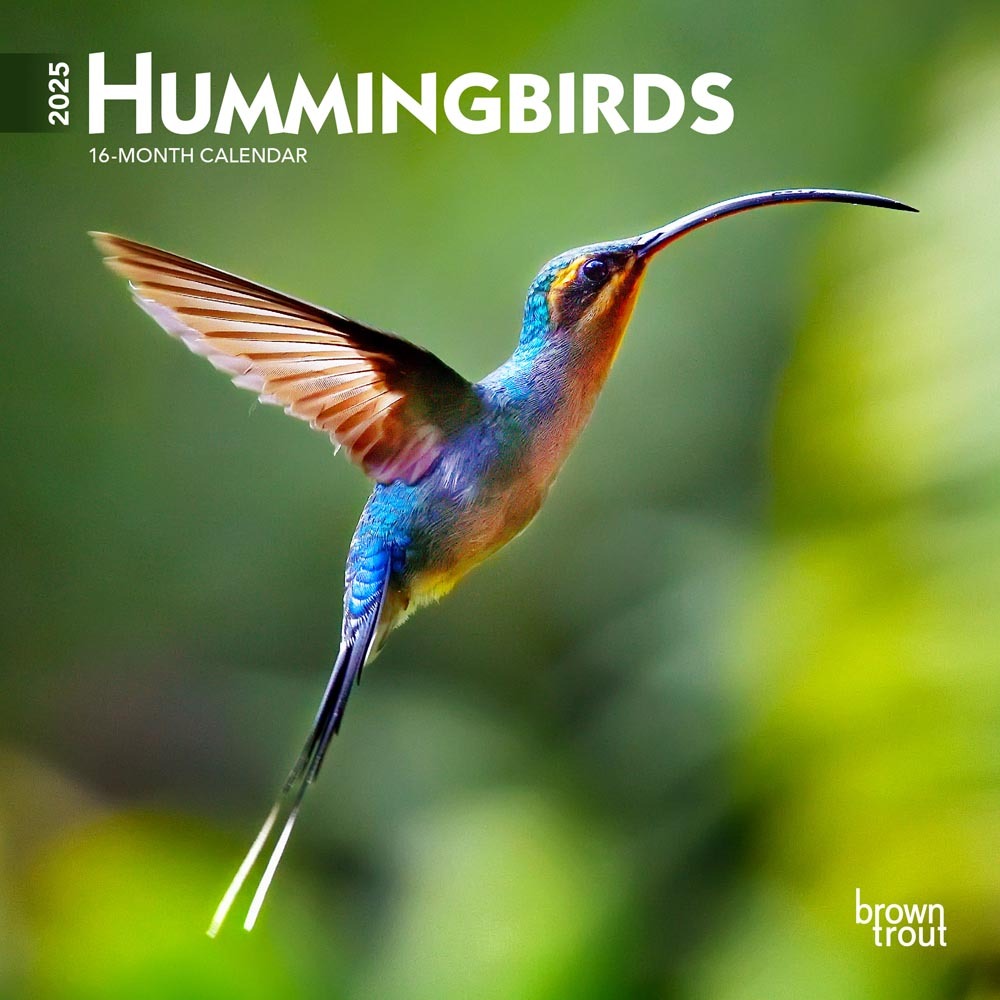 Mini 7X7 Hummingbirds 2025