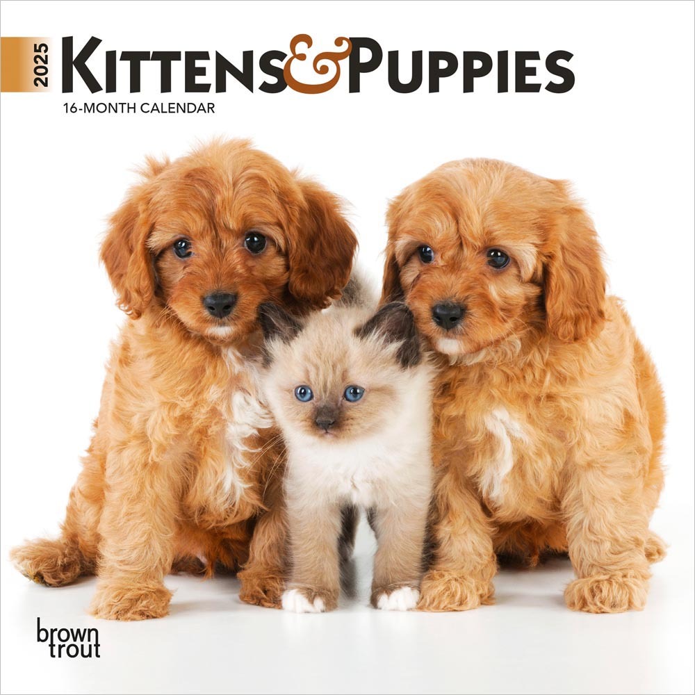 Mini 7X7 Kittens & Puppies 2025