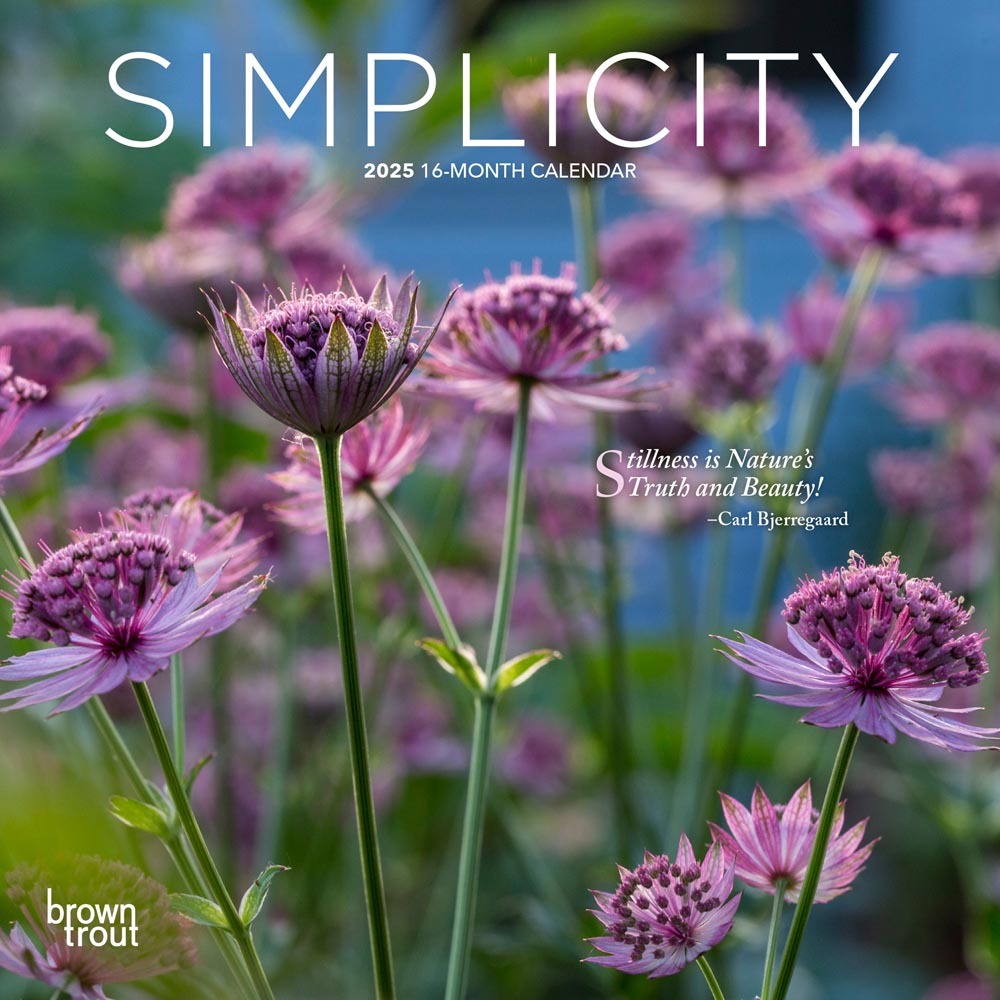 Mini 7X7 Simplicity 2025