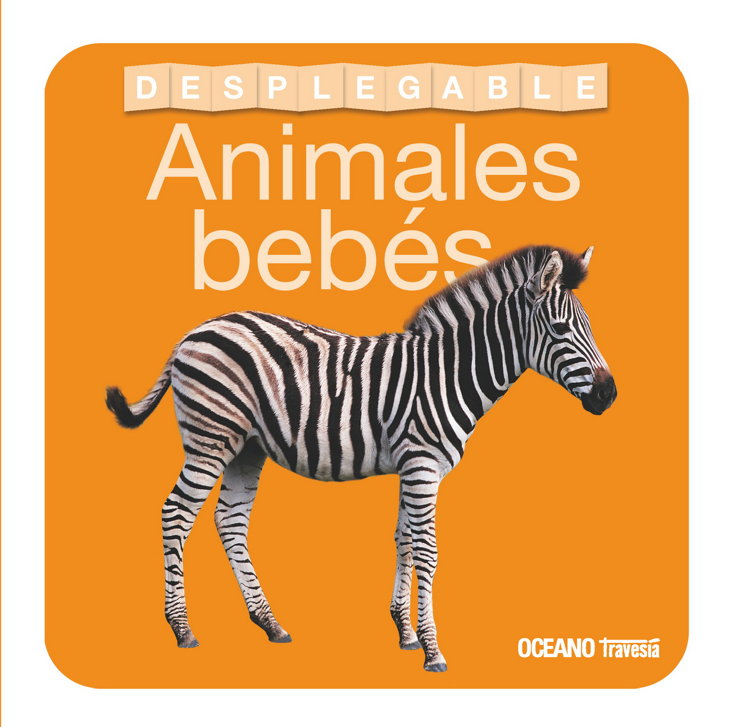 Animales bebés