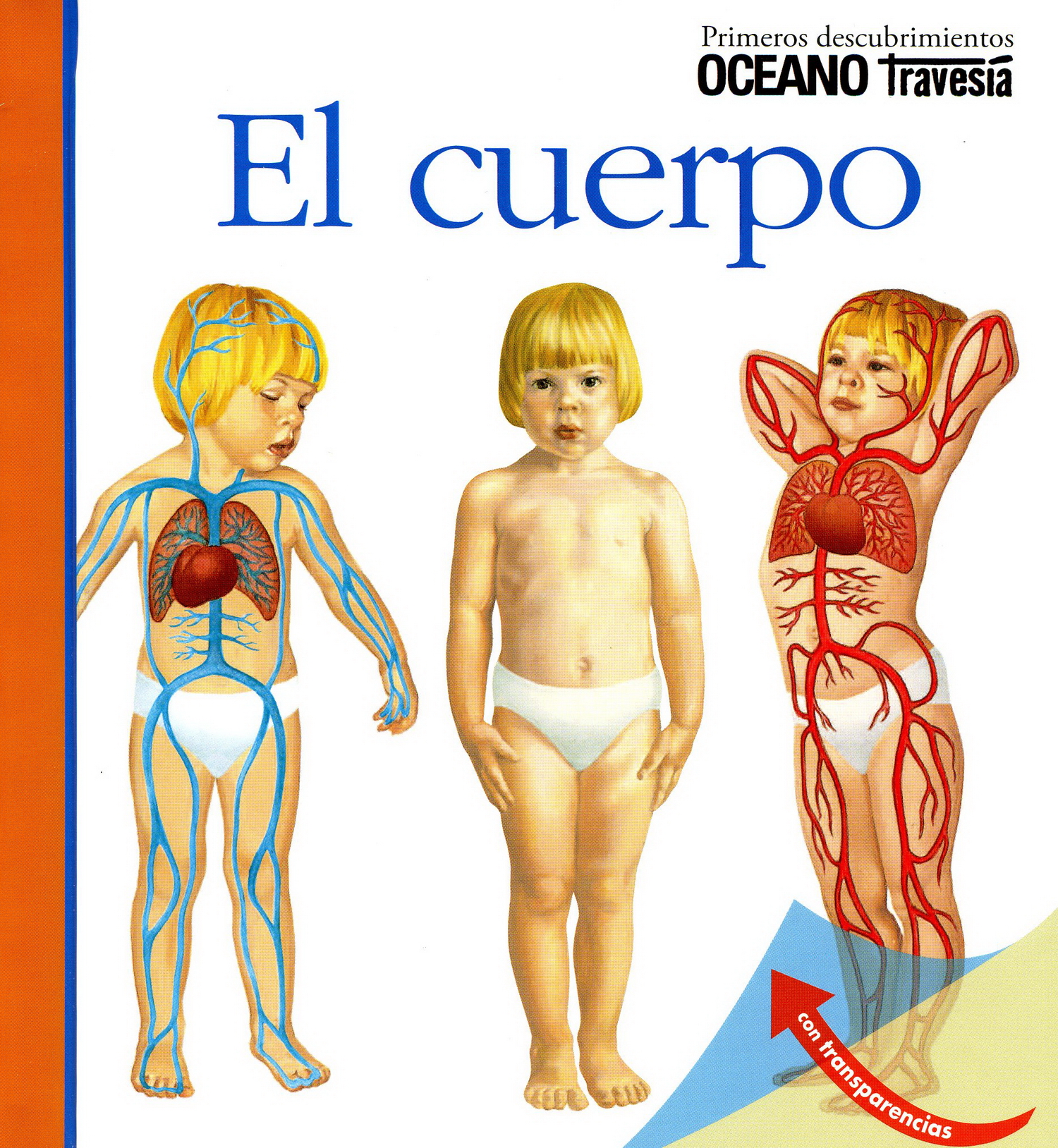 El cuerpo