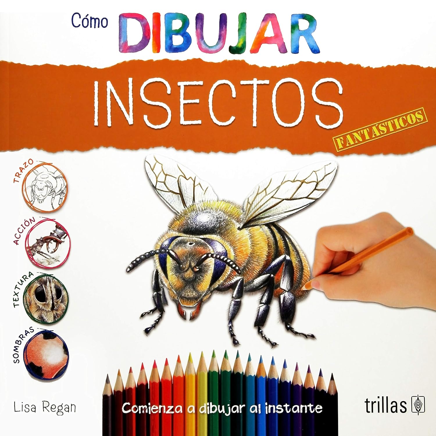 Cómo dibujar insectos fantásticos