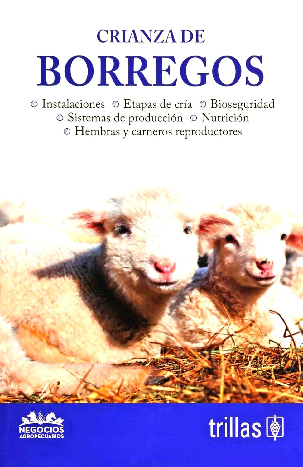 Crianza de borregos