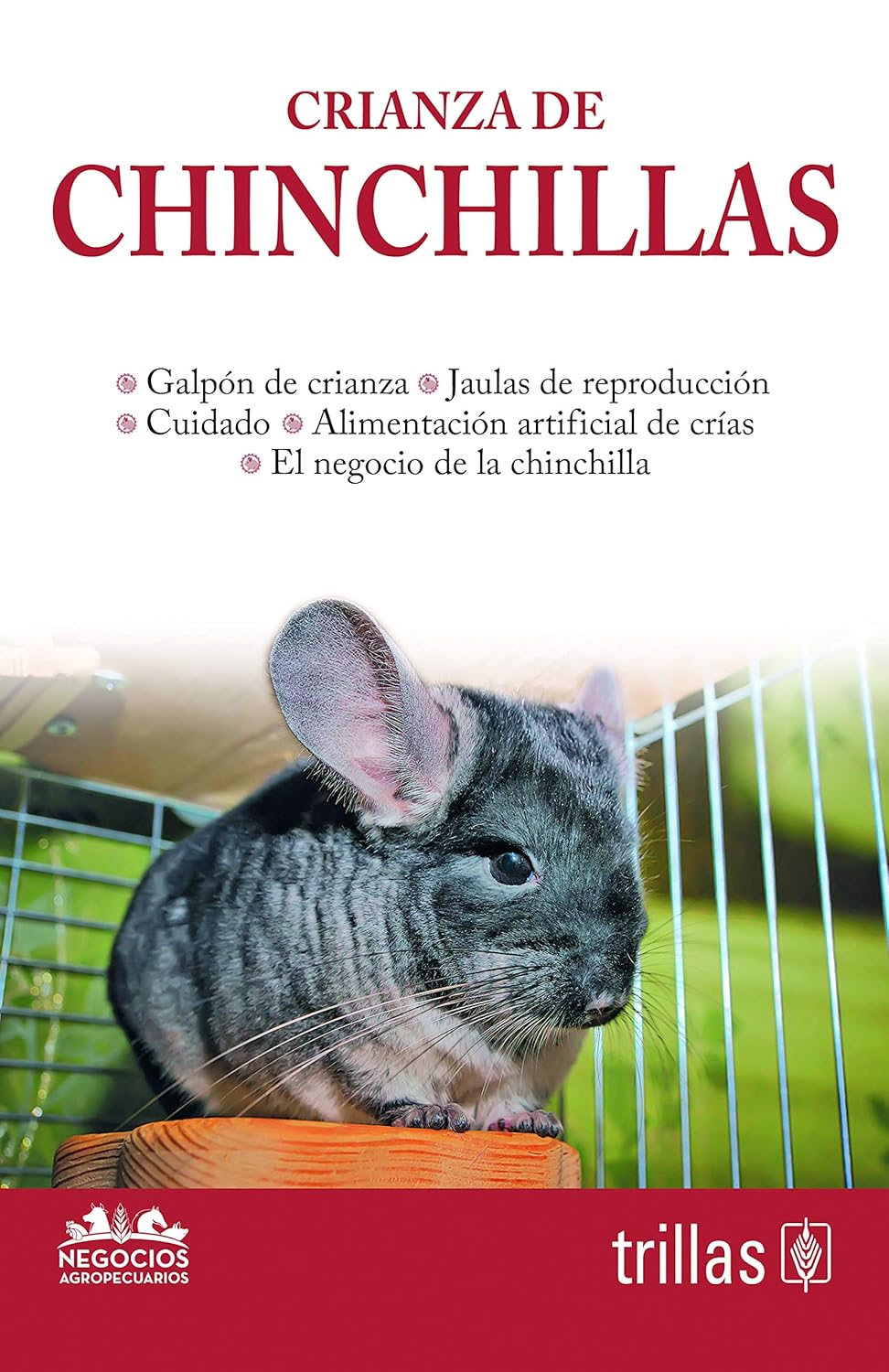 Crianza de chinchillas