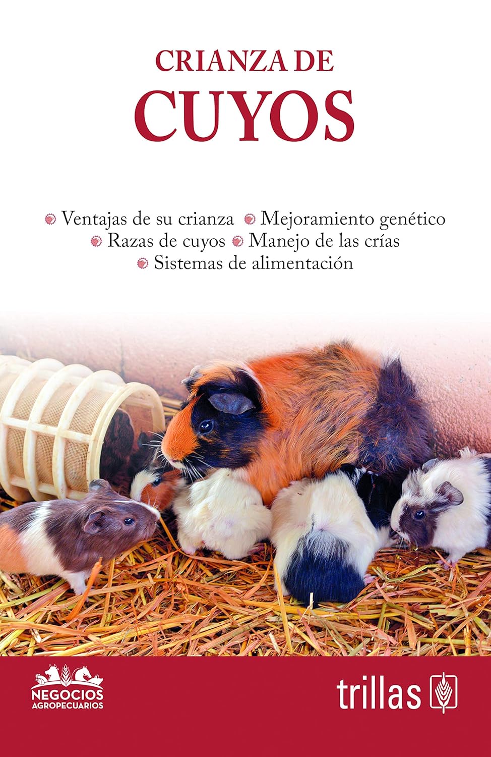 Crianza de cuyos