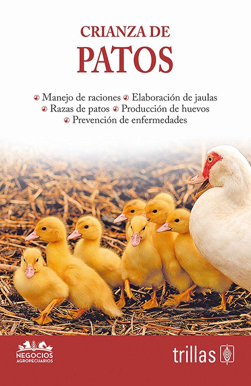 Crianza de patos