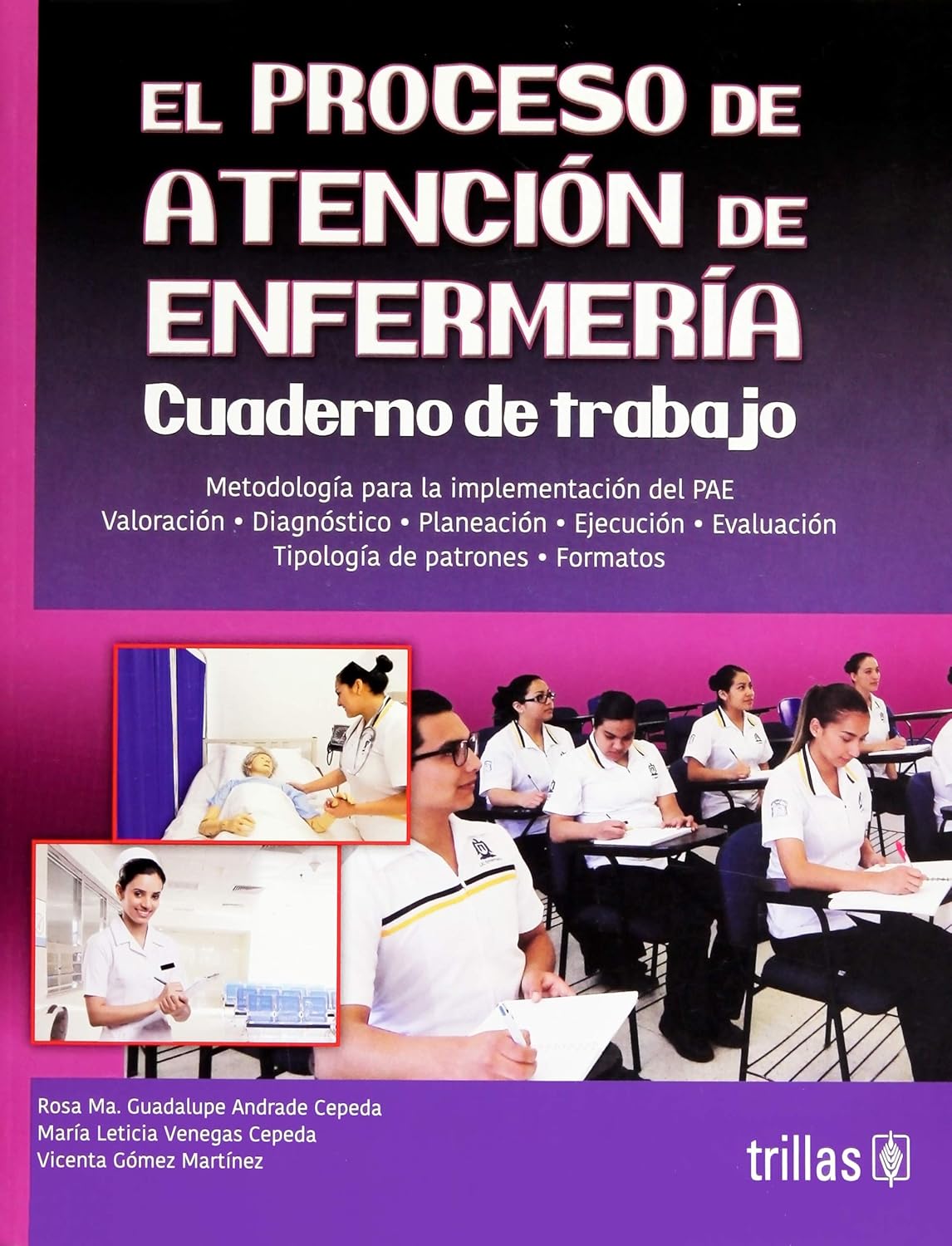 El proceso de atención de Enfermería