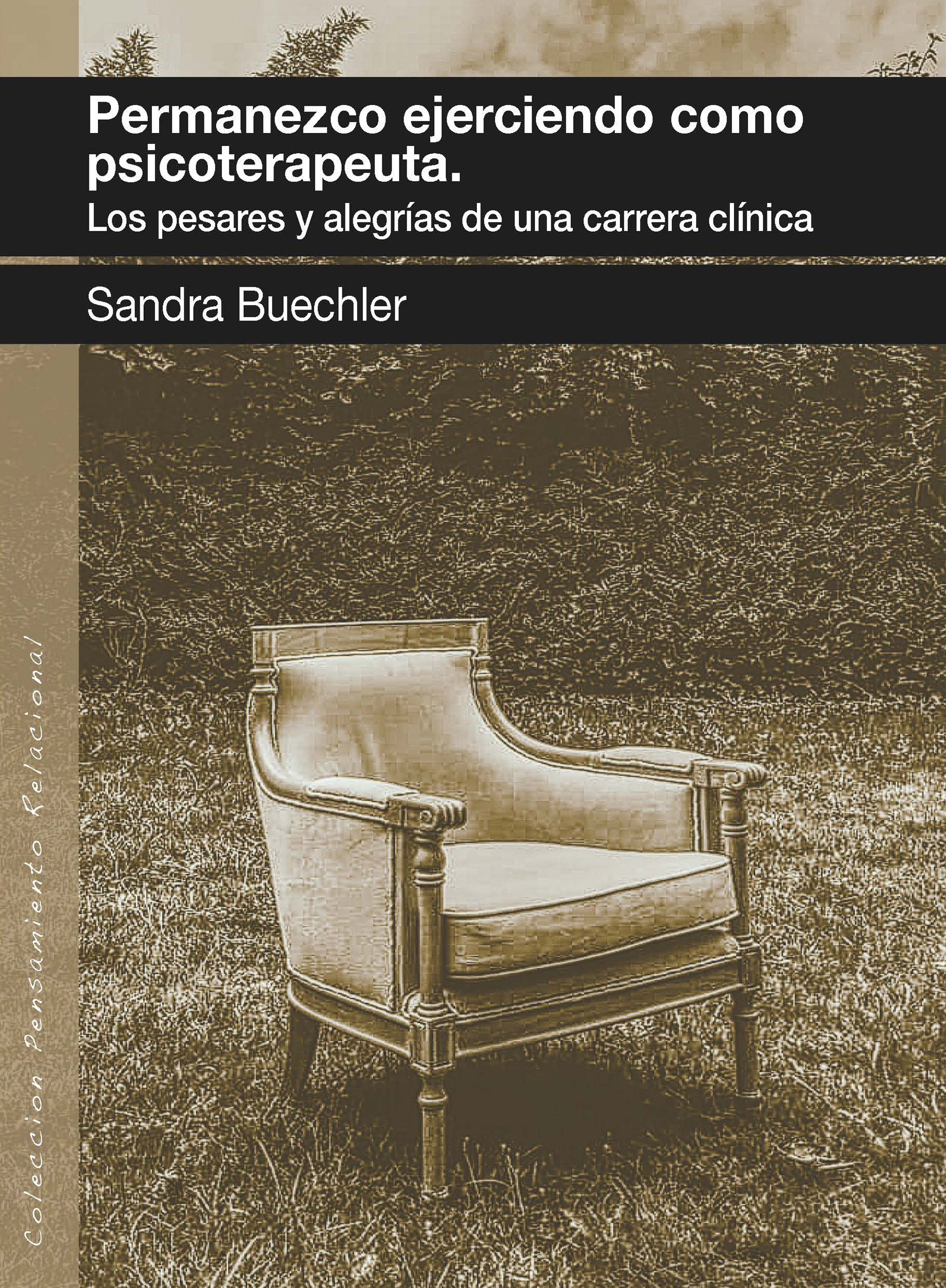 PERMANEZCO EJERCIENDO COMO PSICOTERAPEUTA. Los pesares y alegrías de una carrera clínica