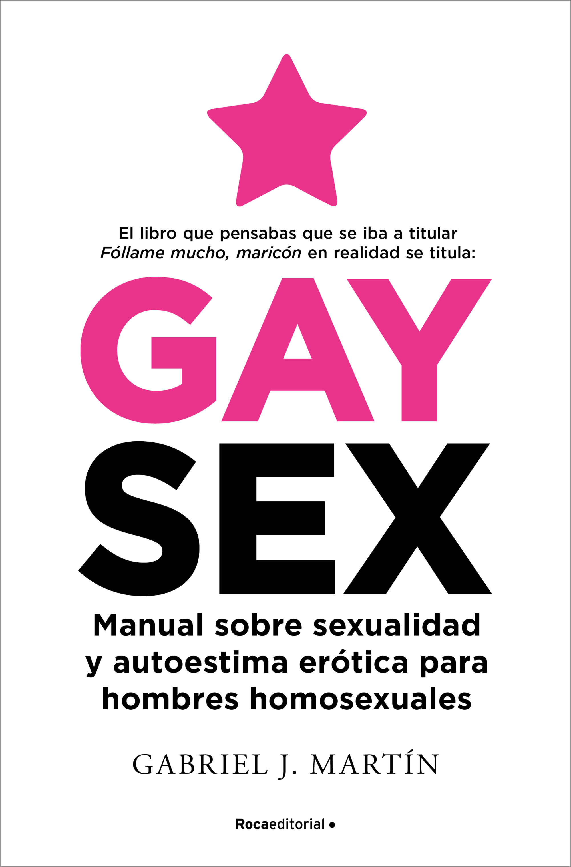 Gaysex