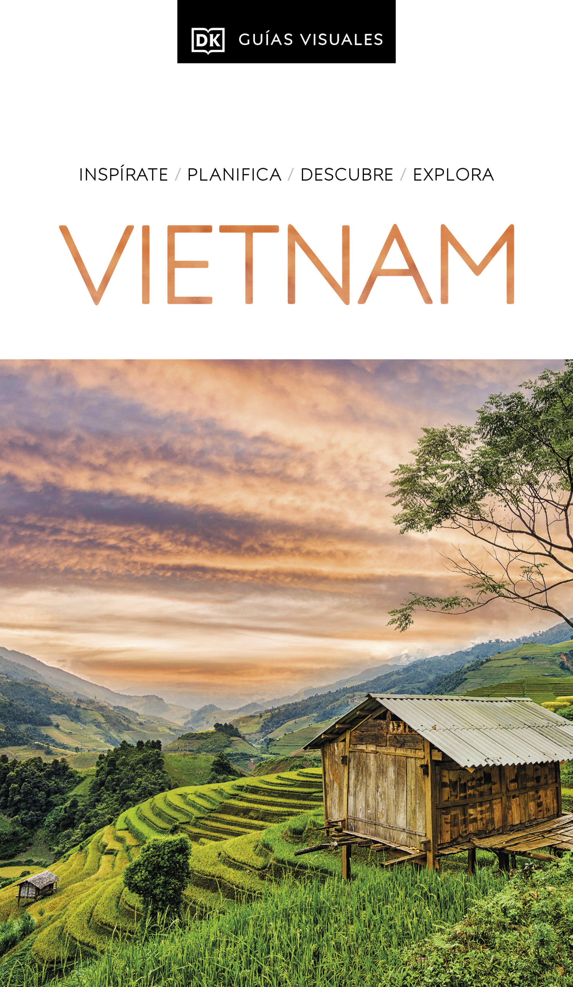 Vietnam ( Guías Visuales )