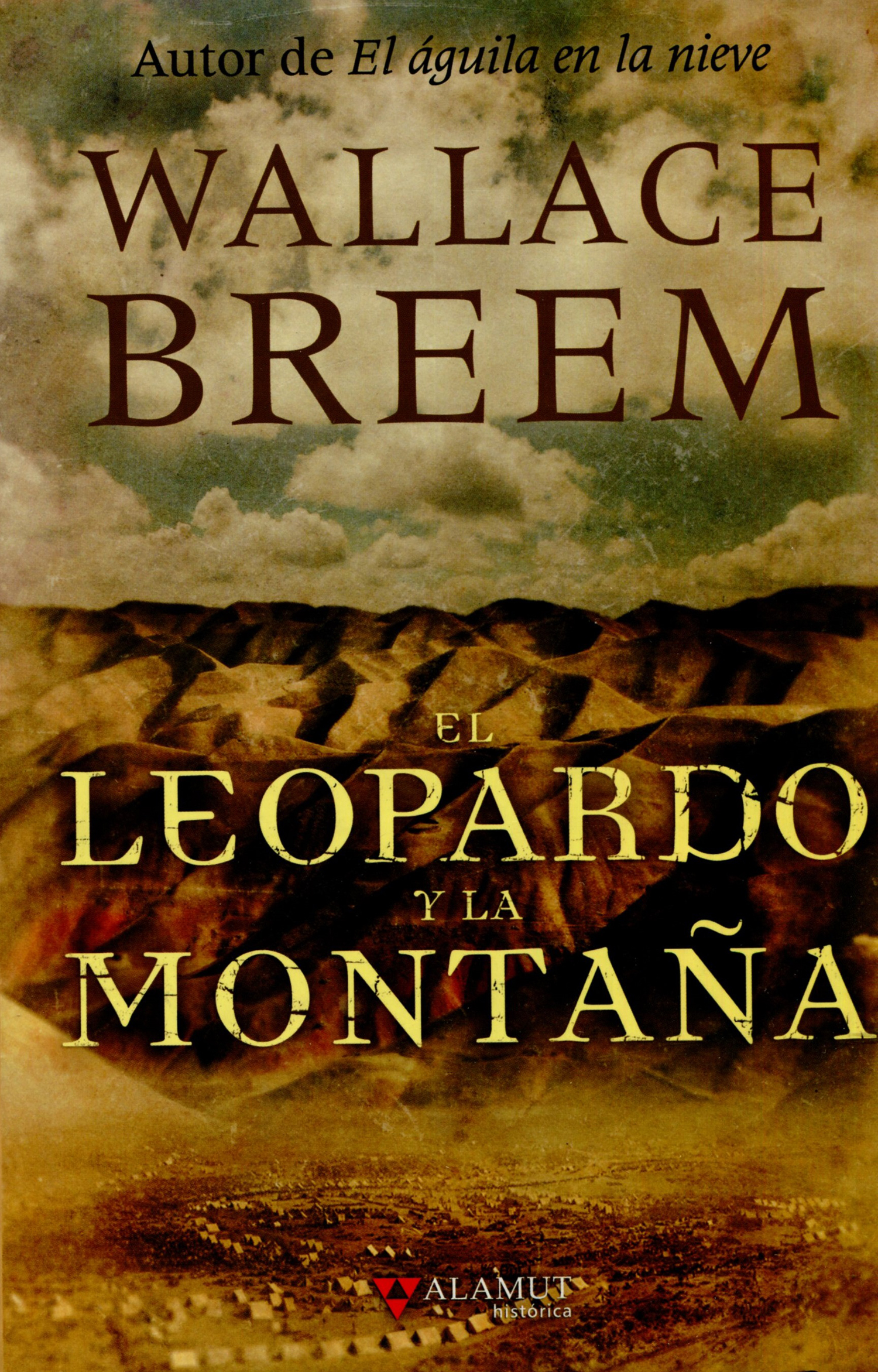 El leopardo y la montaña