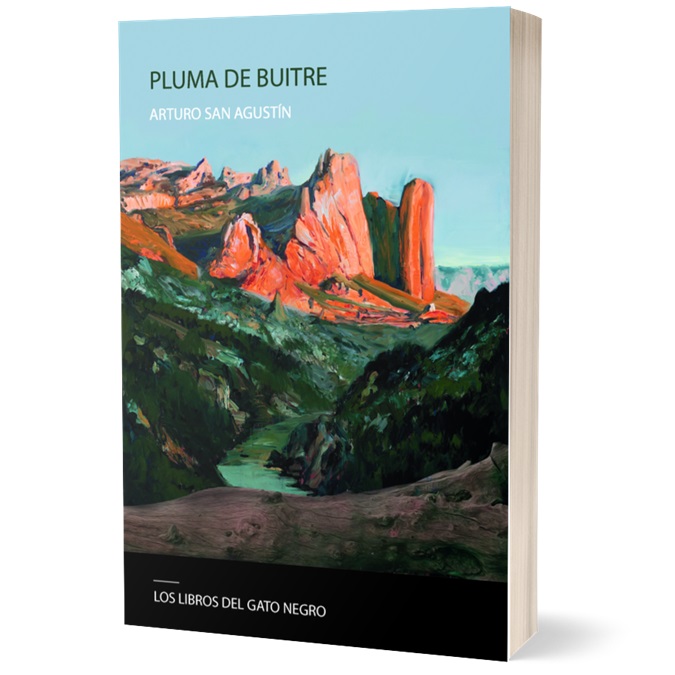 PLUMA DE BUITRE