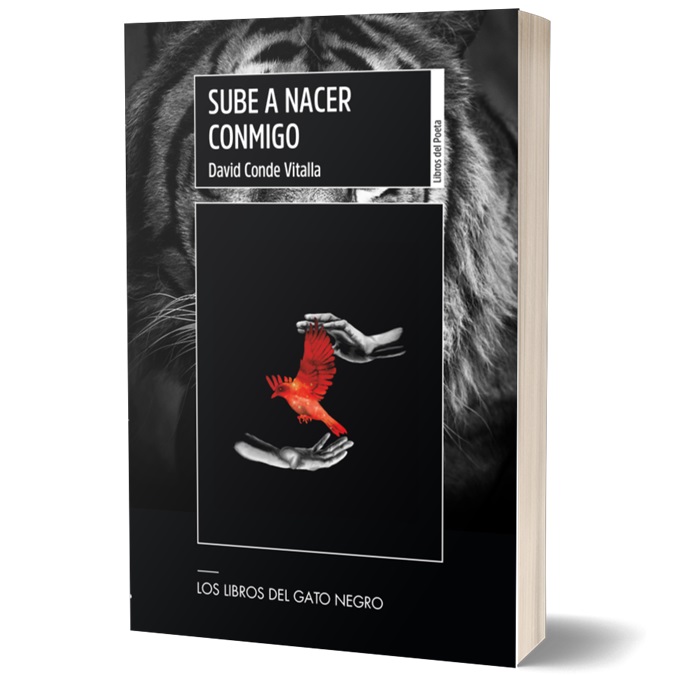 SUBE A NACER CONMIGO
