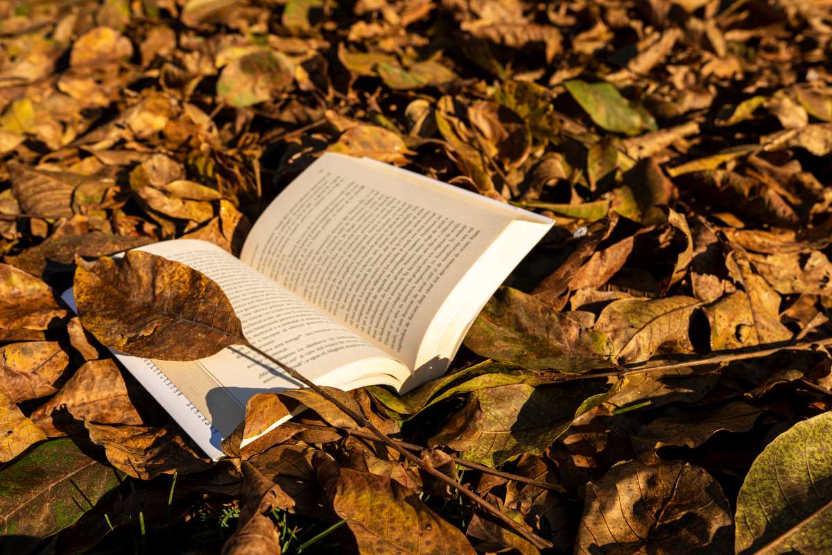 Los libros que debes leer en octubre de la FIL Monterrey