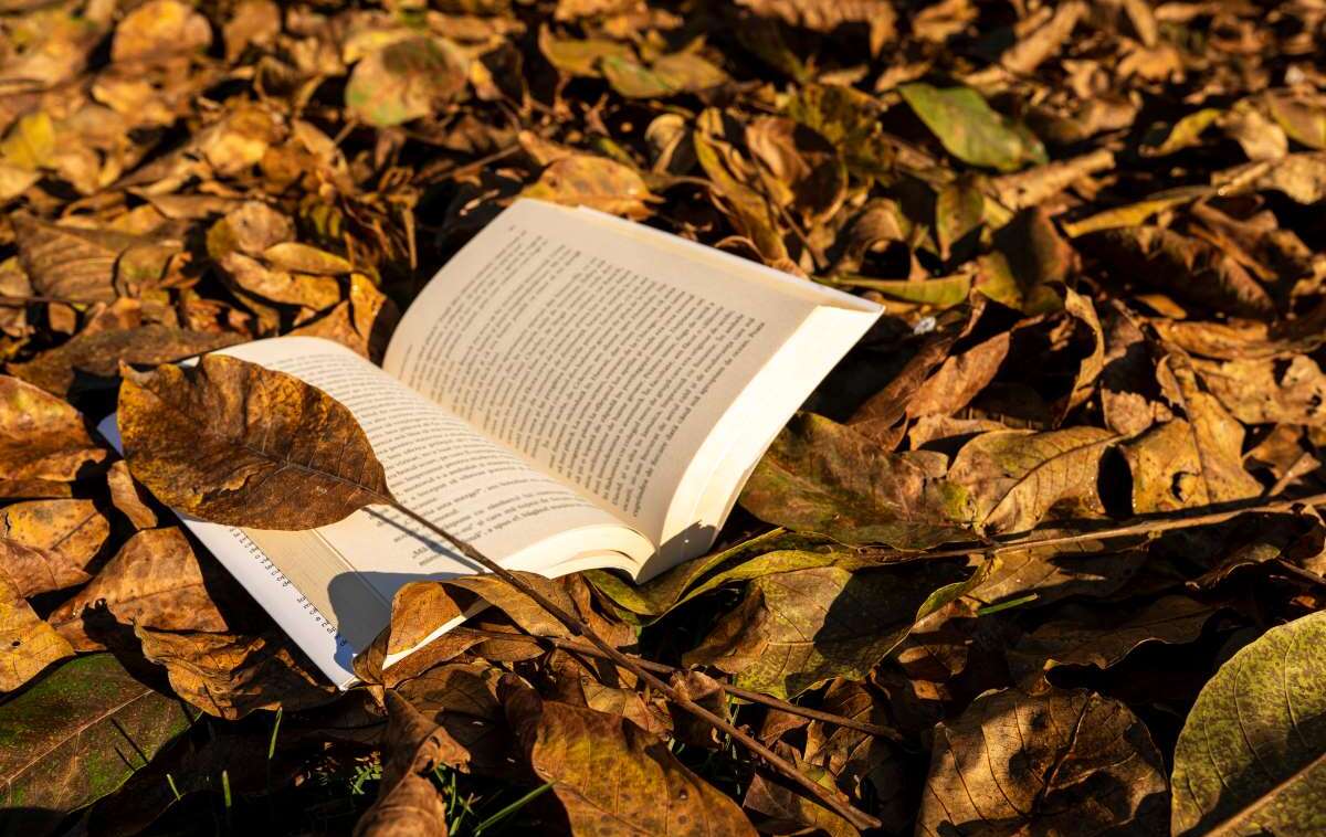Los libros que debes leer en octubre. Foto: Getty