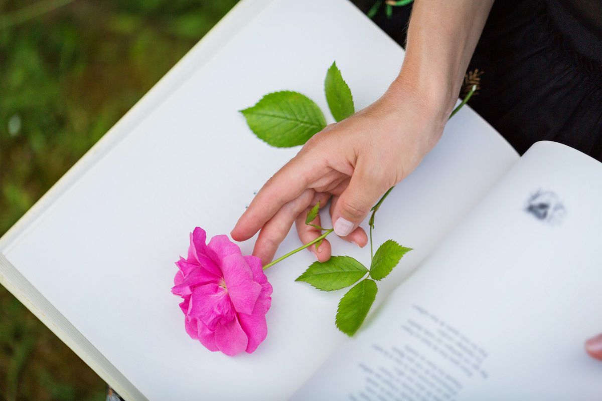 Poesía deslumbrante: novedades en México