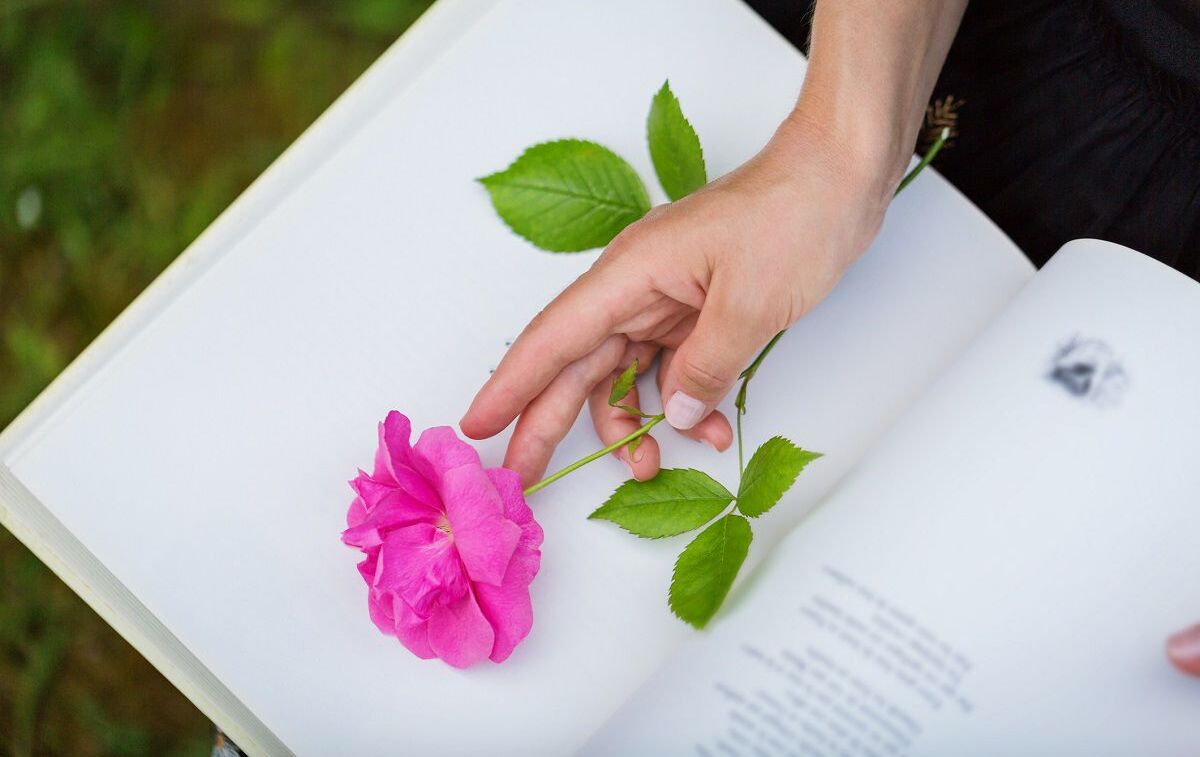 Poesía deslumbrante: novedades en México. Foto: Getty