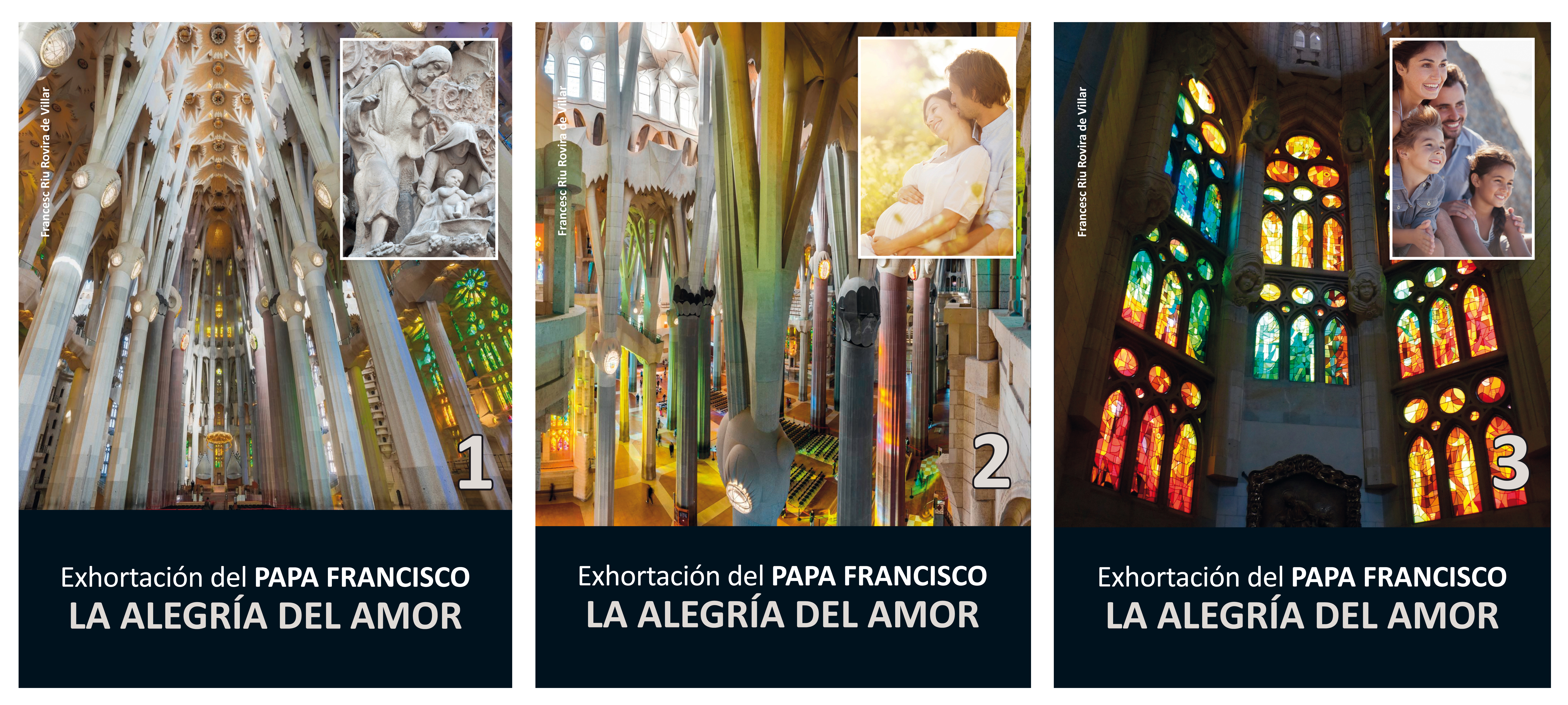 Exhortación del Papa: LA ALEGRÍA DEL AMOR