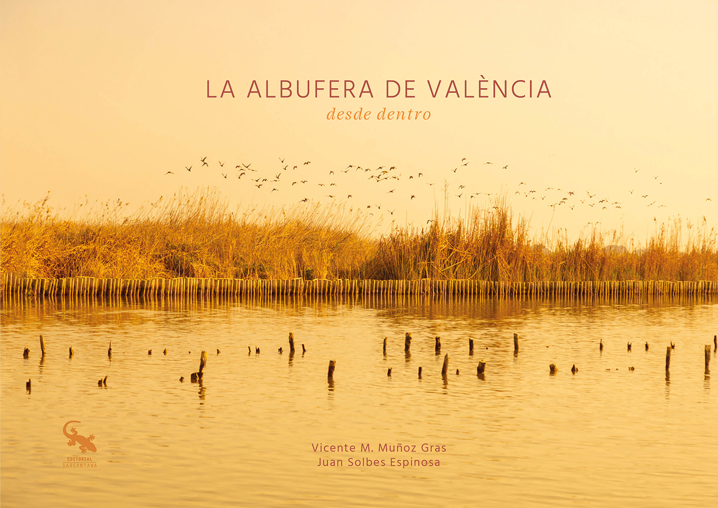 La albufera de València desde dentro