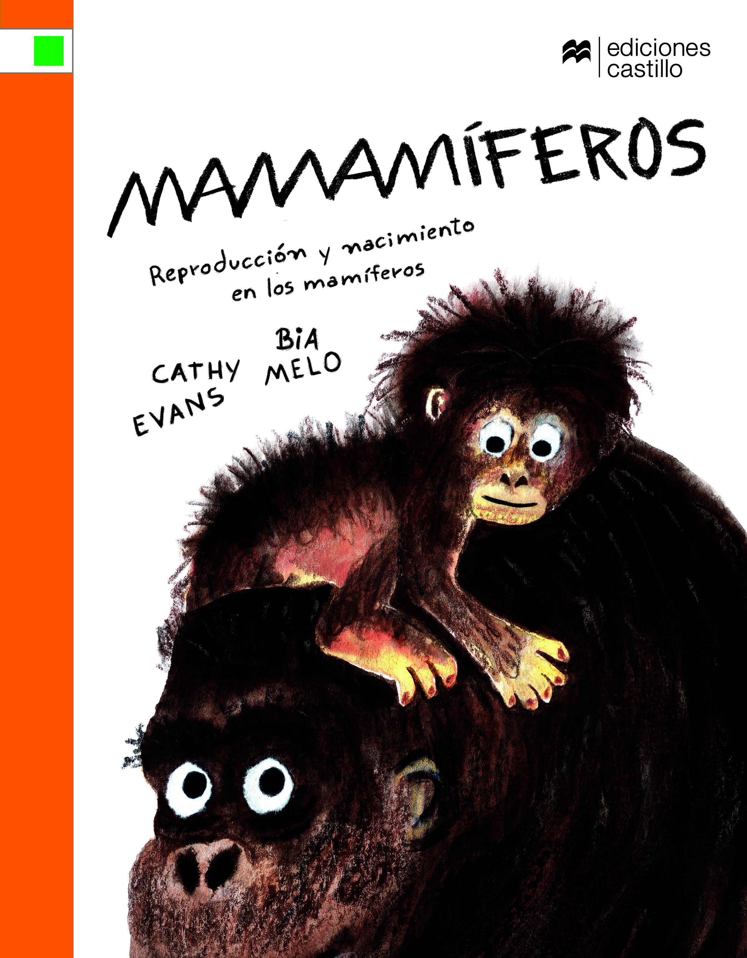 Mamamíferos. Reproducción y nacimiento en los mamíferos
