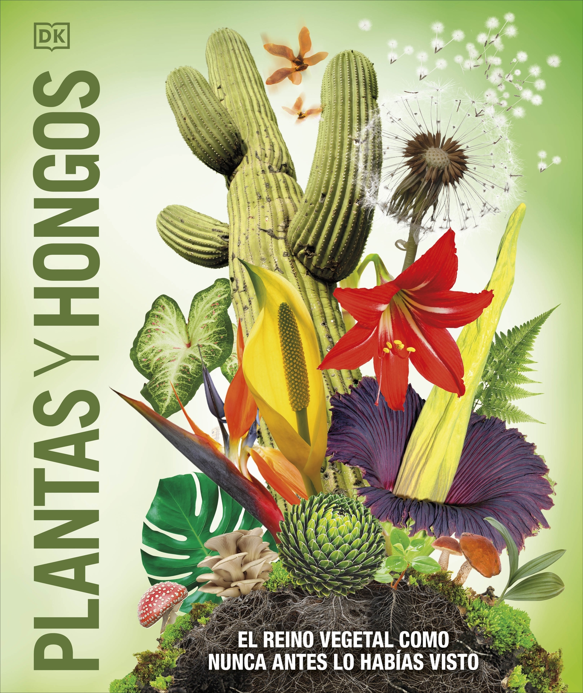 Plantas y hongos ( Mundo 3D )