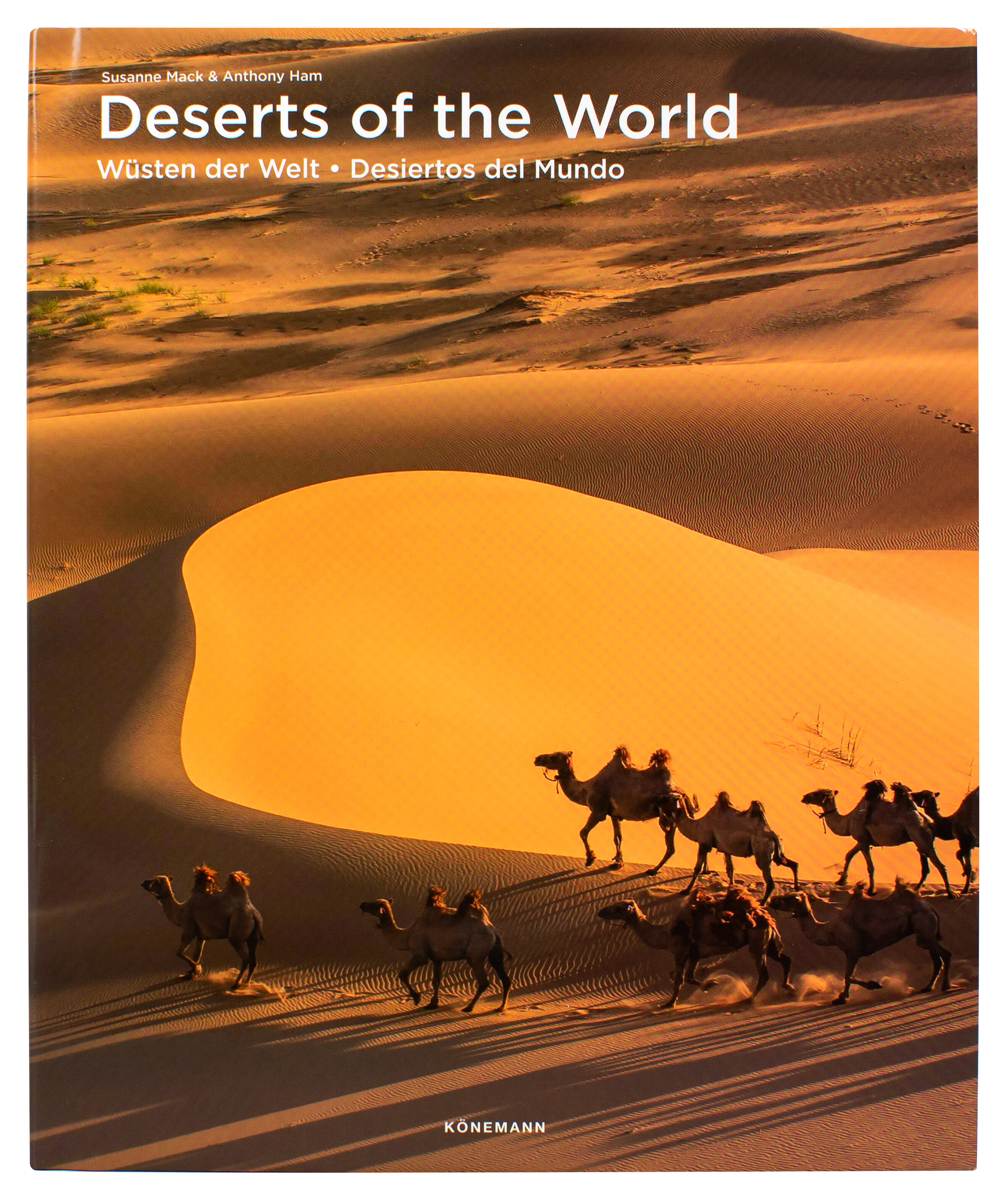 Fat Ferdy: Deserts of the World
