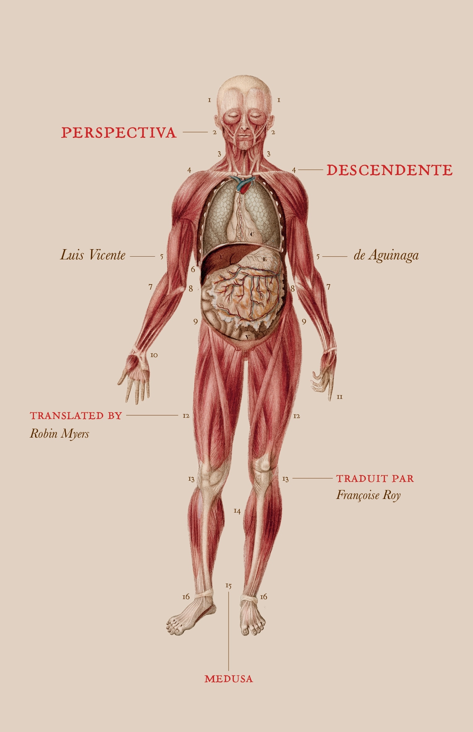 Perspectiva descendente